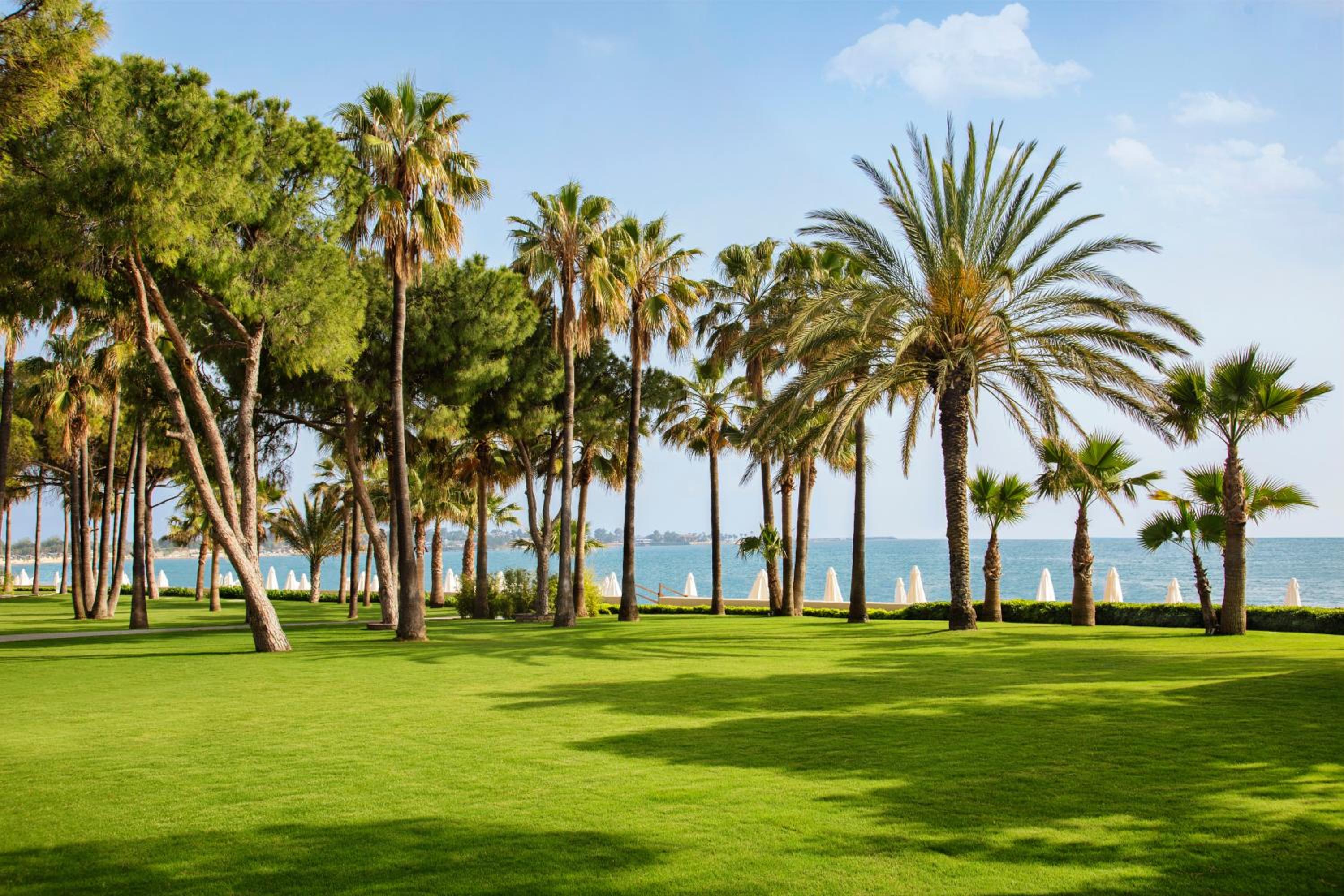 Acanthus Cennet Barut Collection - Ultra All Inclusive - Image 161