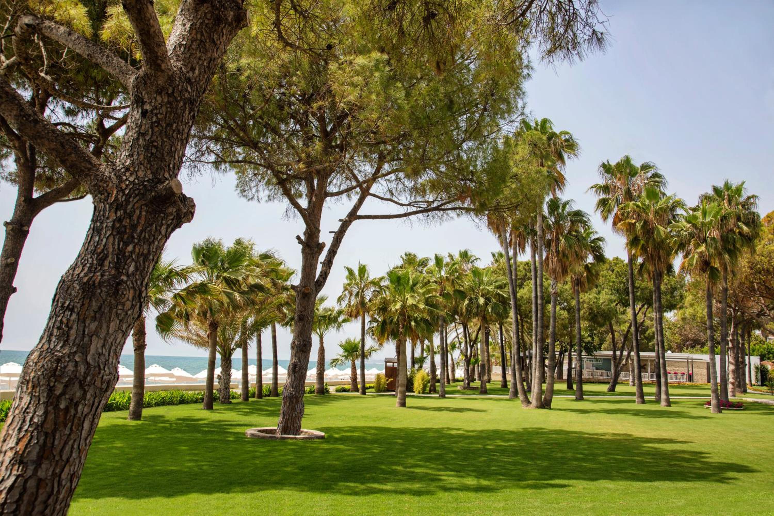 Acanthus Cennet Barut Collection - Ultra All Inclusive - Image 138