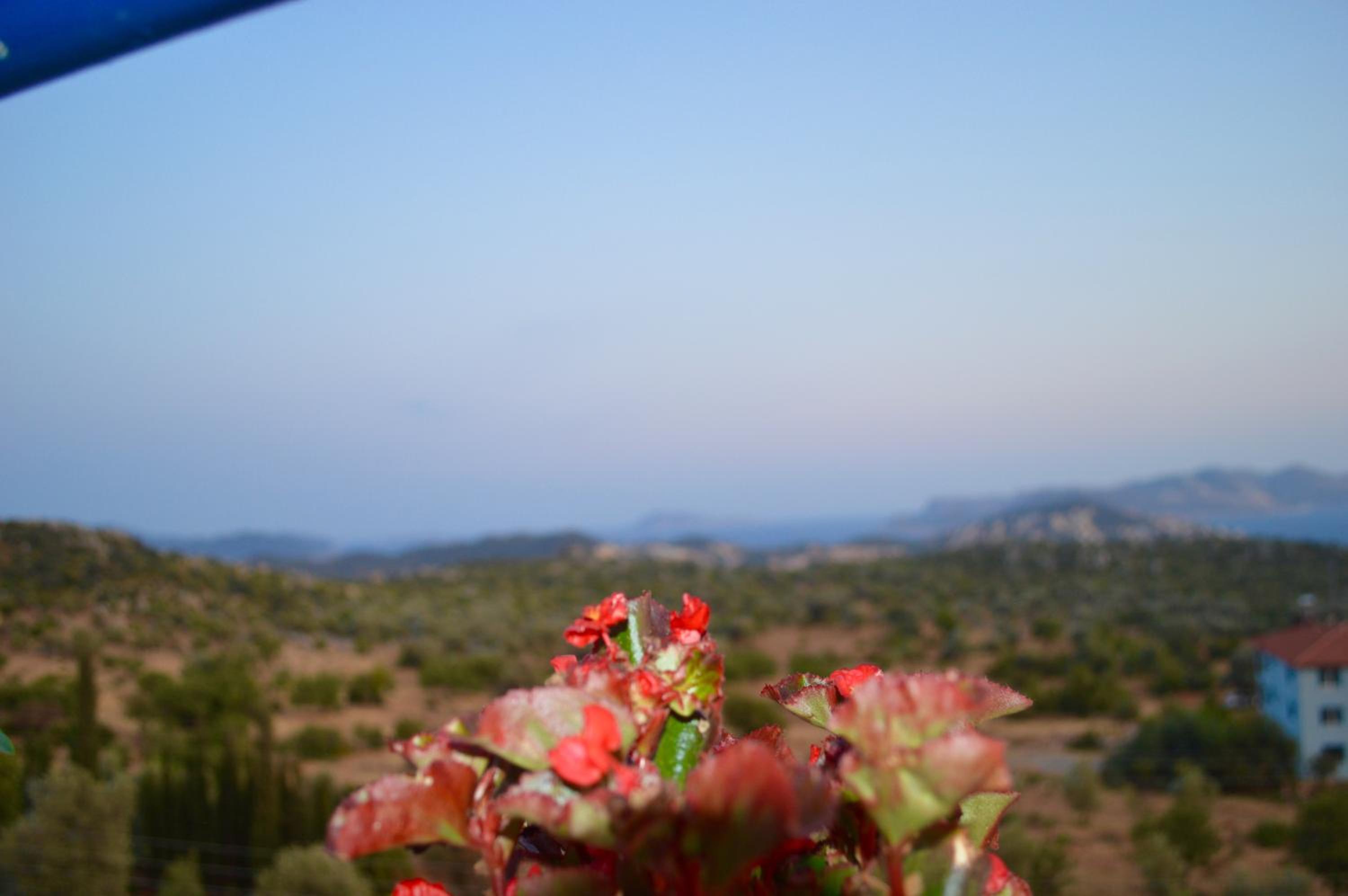 Miramar Pansiyon - Image 36