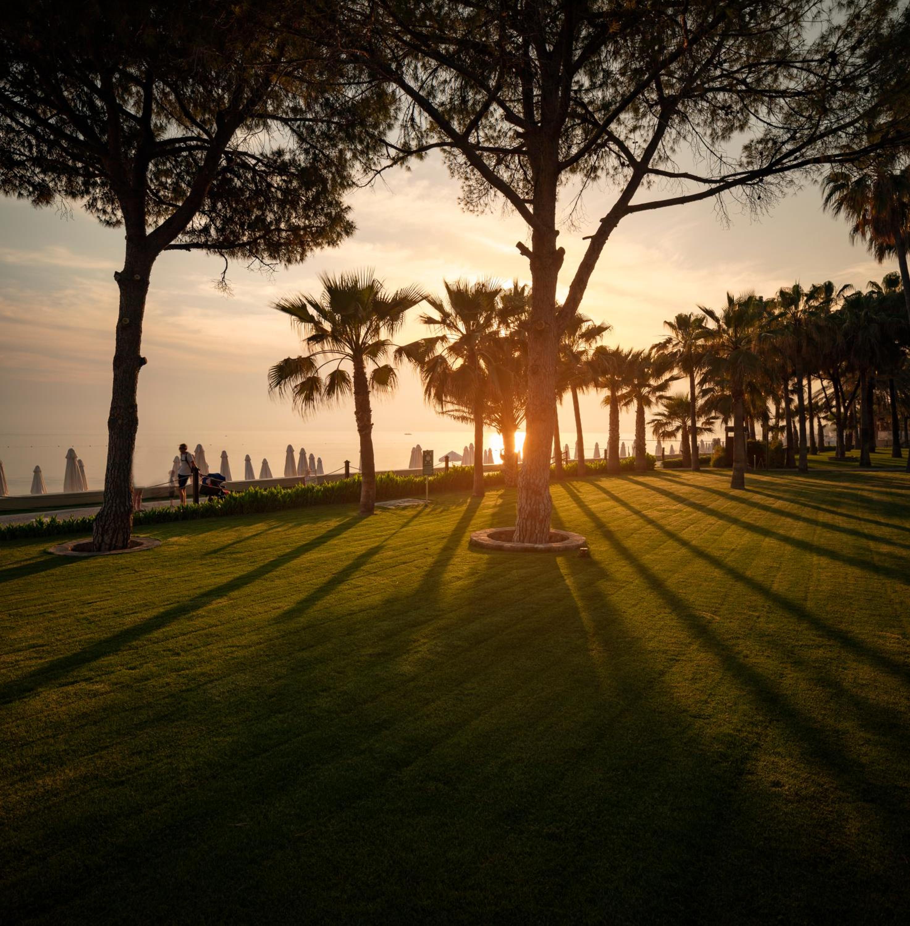 Acanthus Cennet Barut Collection - Ultra All Inclusive - Image 50