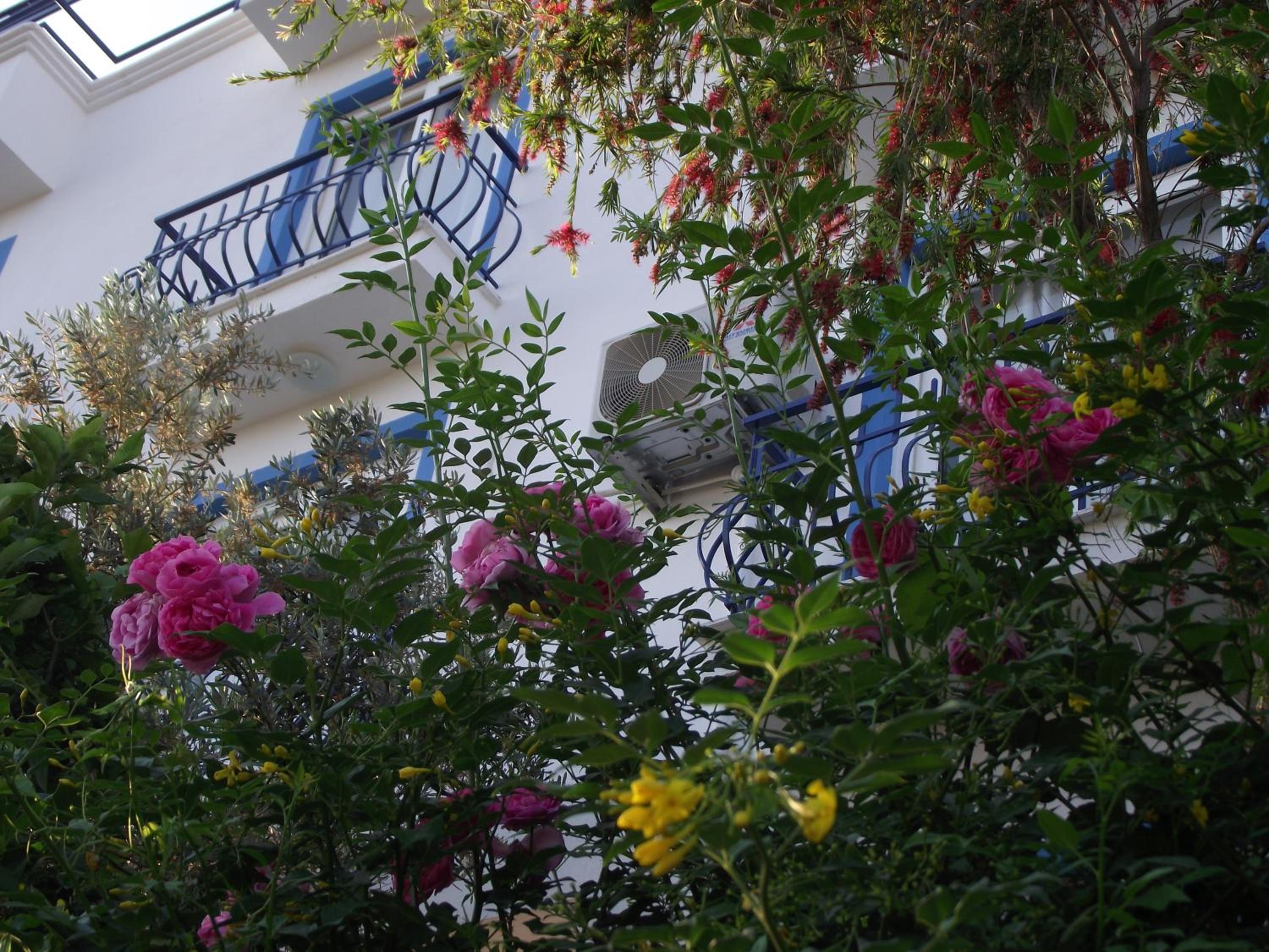 Miramar Pansiyon - Image 114