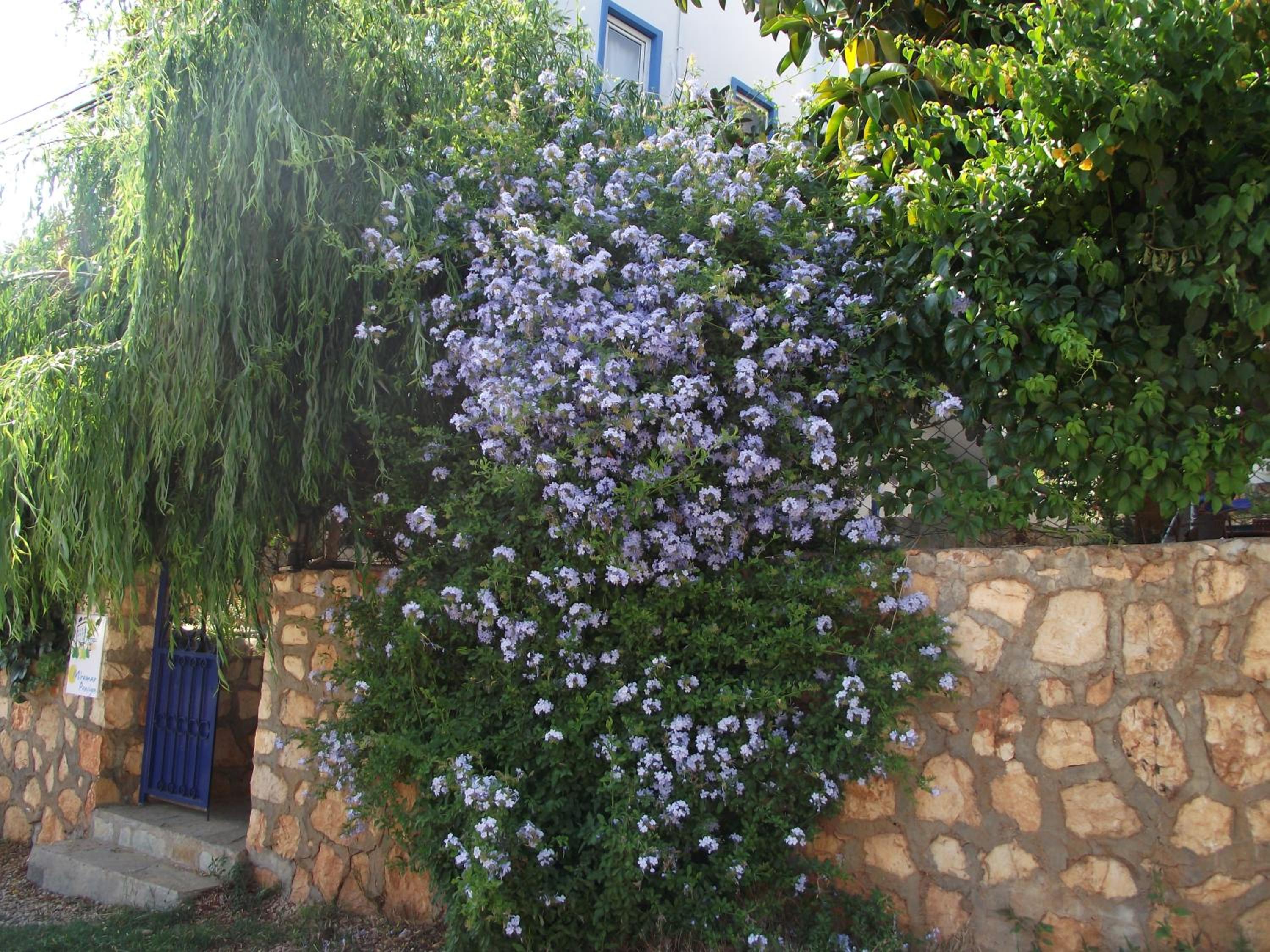 Miramar Pansiyon - Image 117