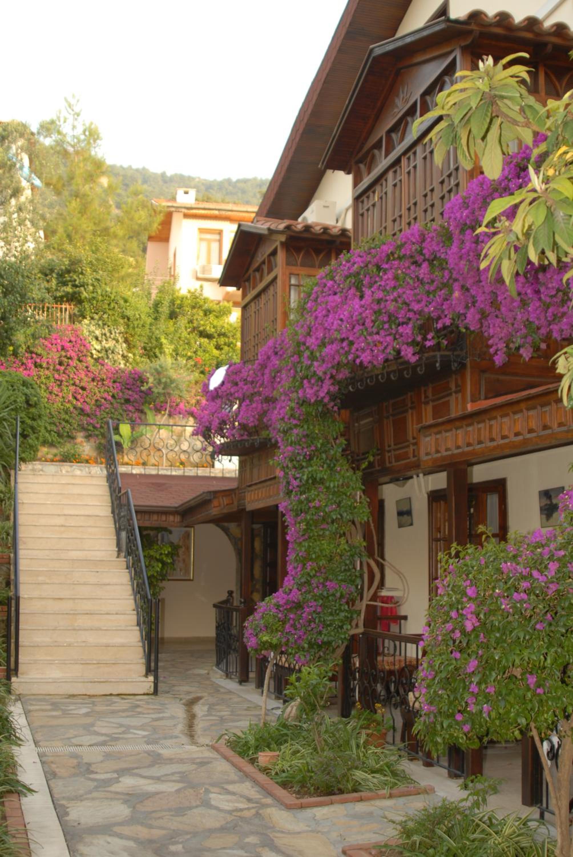 Hotel Villa Daffodil - Image 60