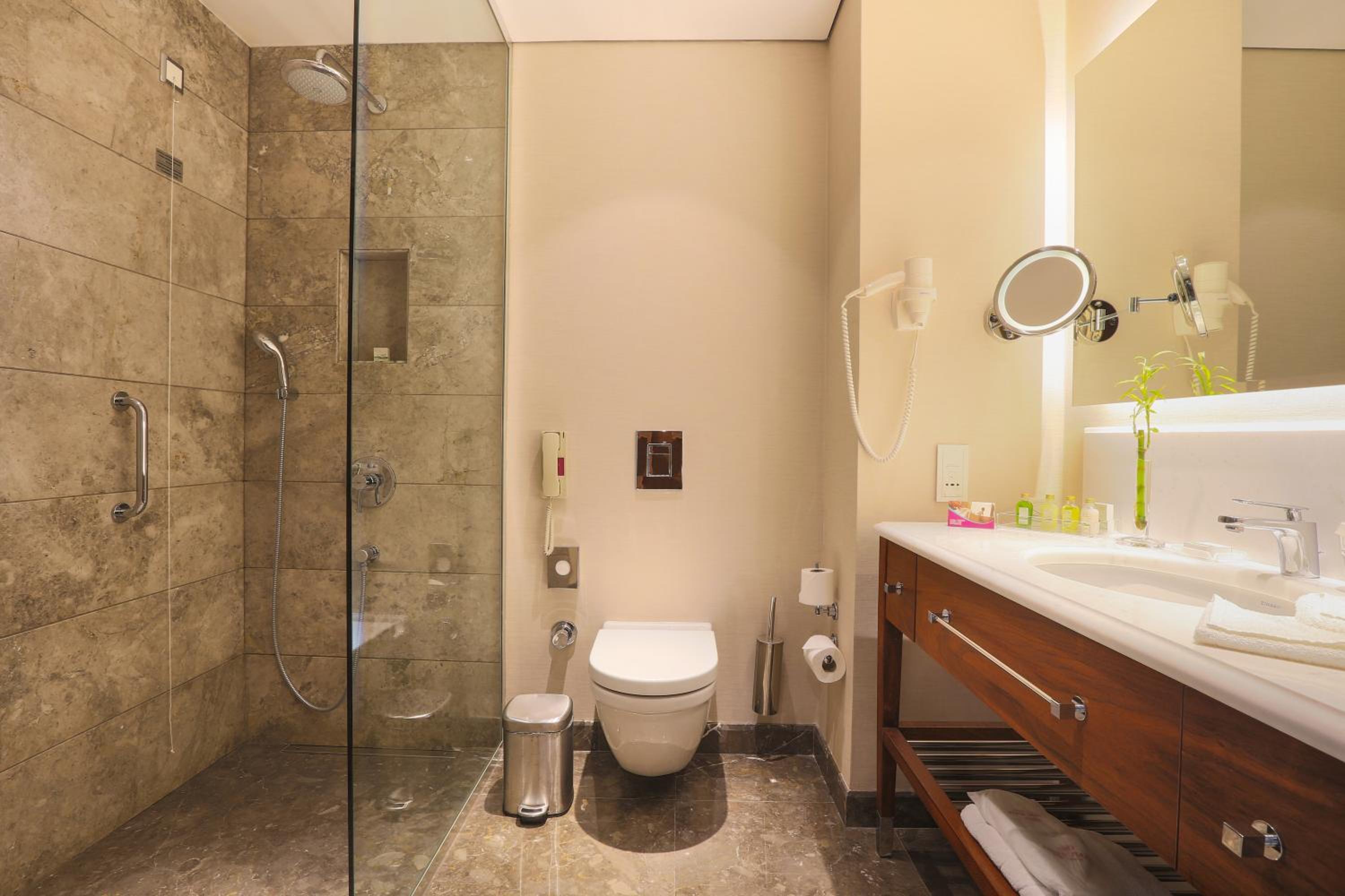 Crowne Plaza İstanbul Oryapark, bir IHG Oteli - Image 85