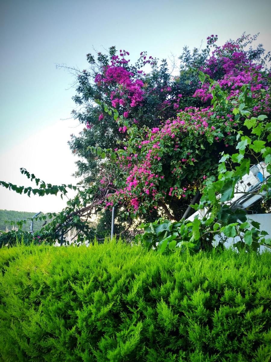 Yalcin Hotel - Image 12
