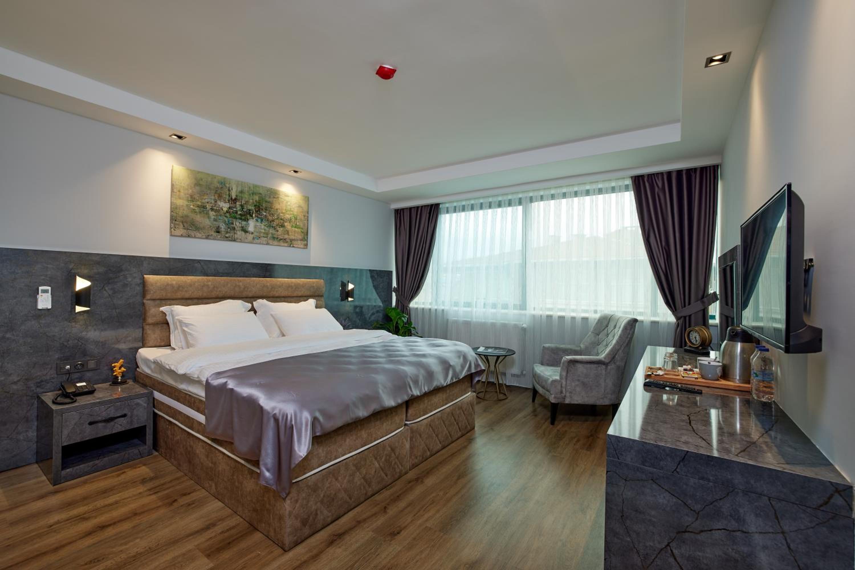 The Bold Otel - Image 23