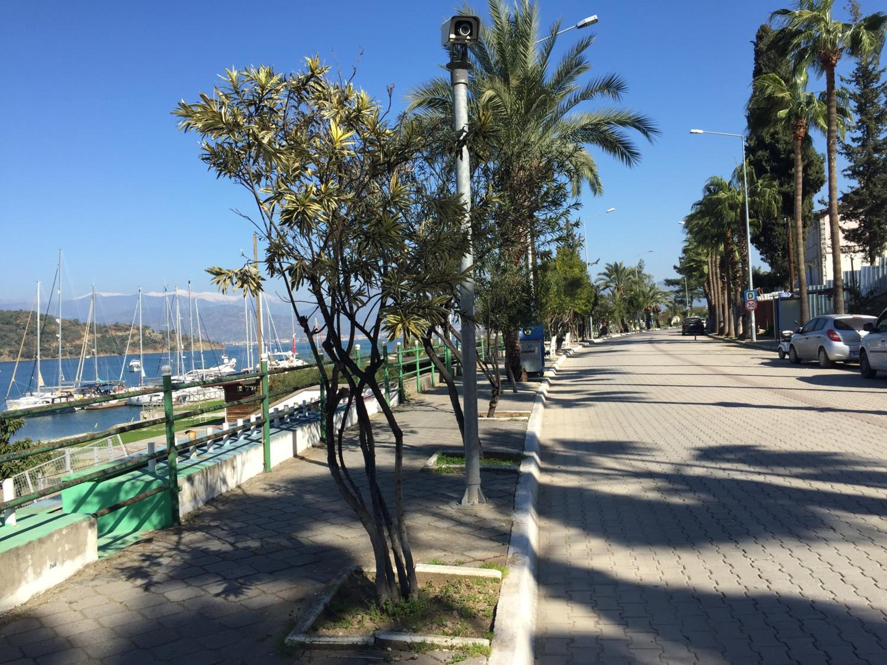Hotel Villa Daffodil - Image 76