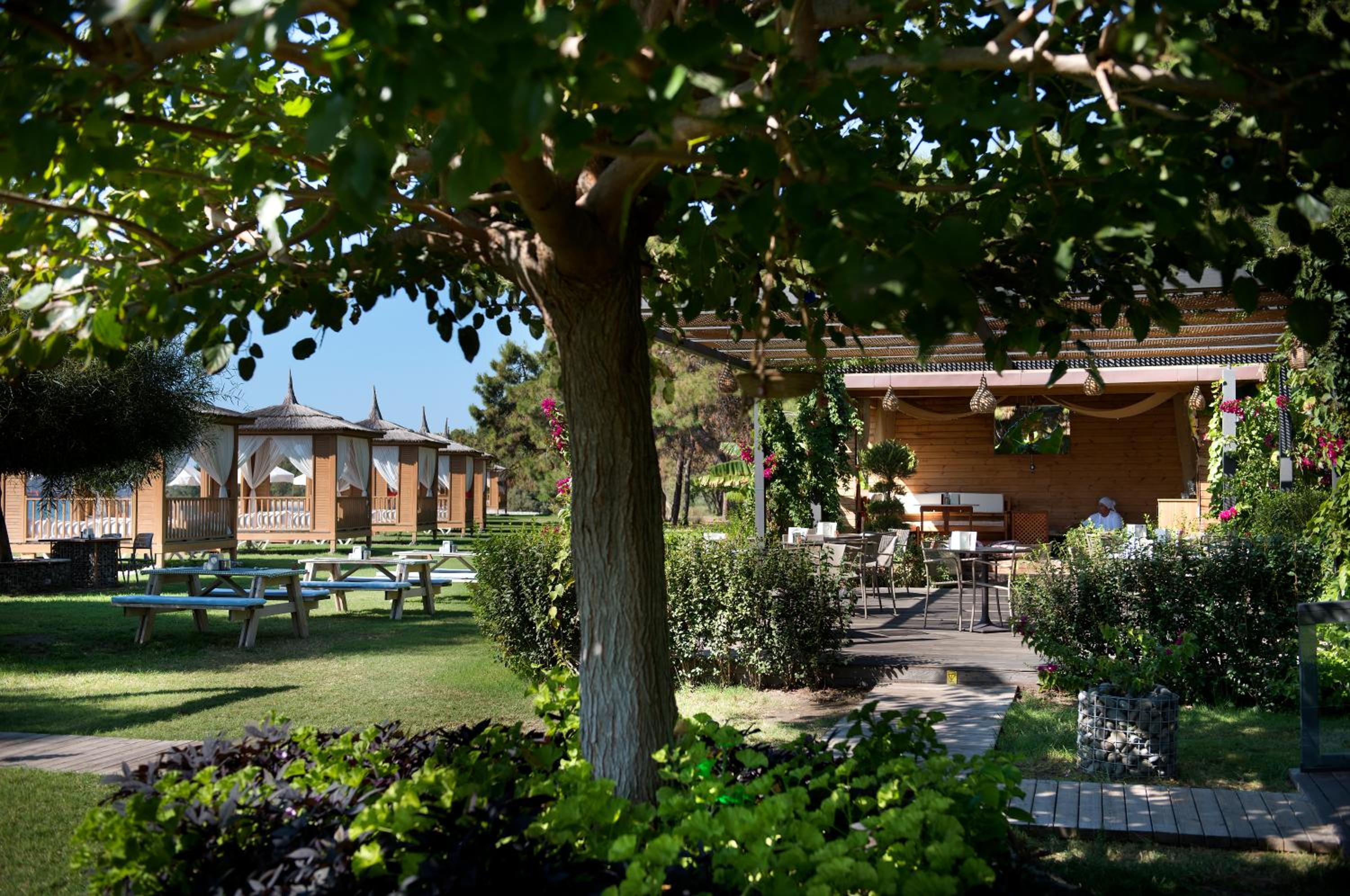 Akra Fethiye Tui Blue Sensatori - Ultra Her Şey Dahil - Image 115