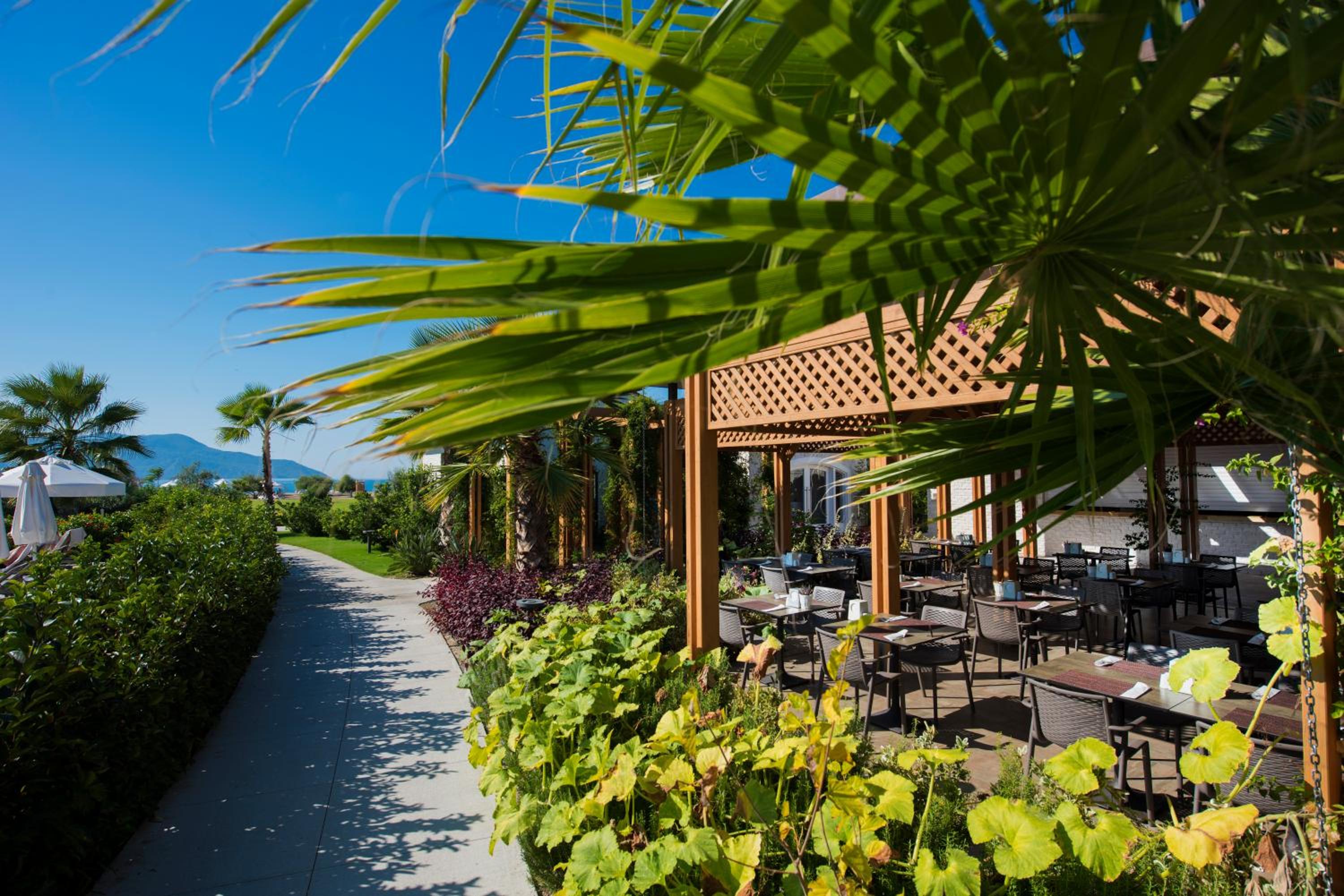 Akra Fethiye Tui Blue Sensatori - Ultra Her Şey Dahil - Image 127