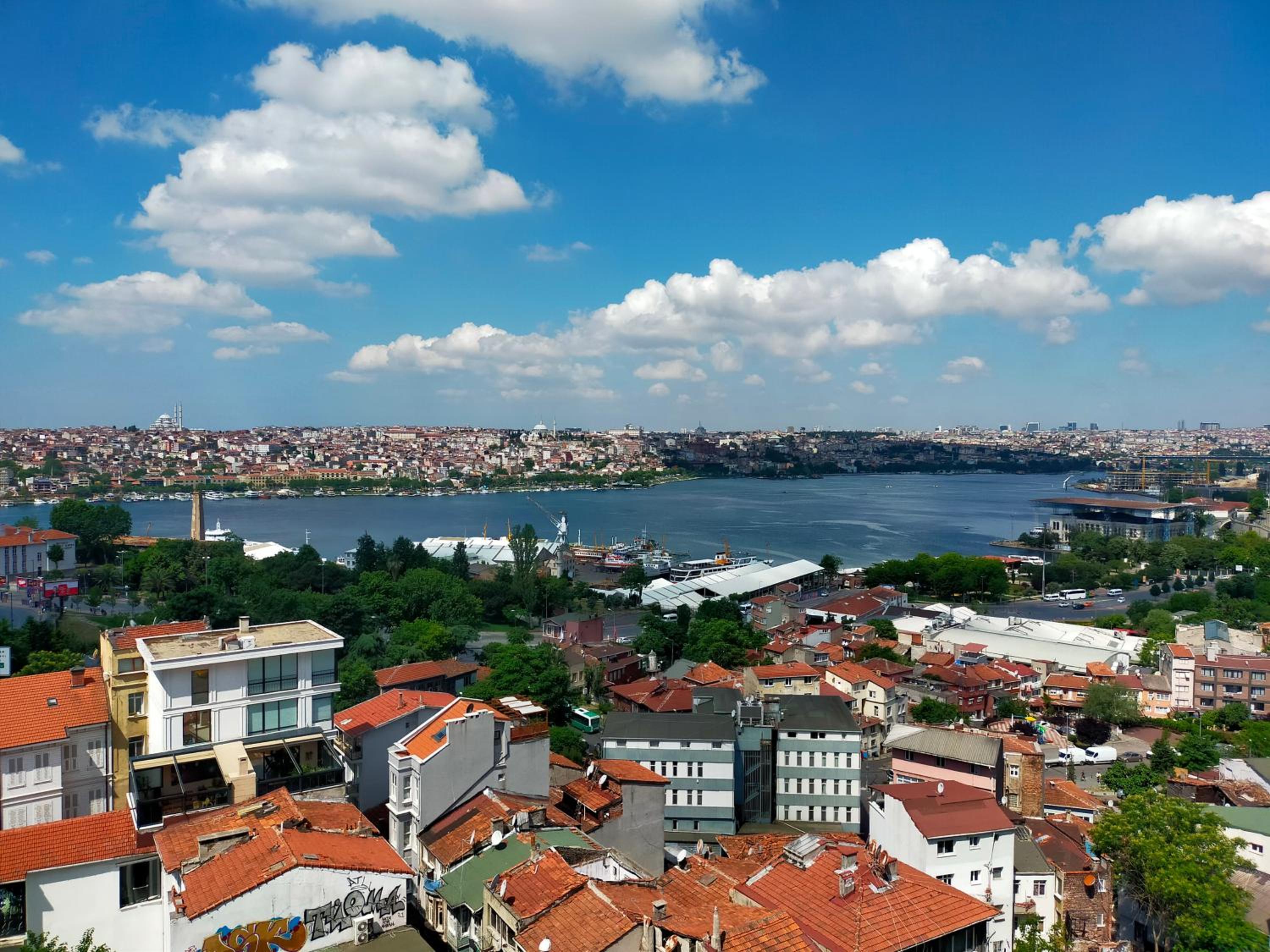 Grand Halic Goldenhorn - Image 39