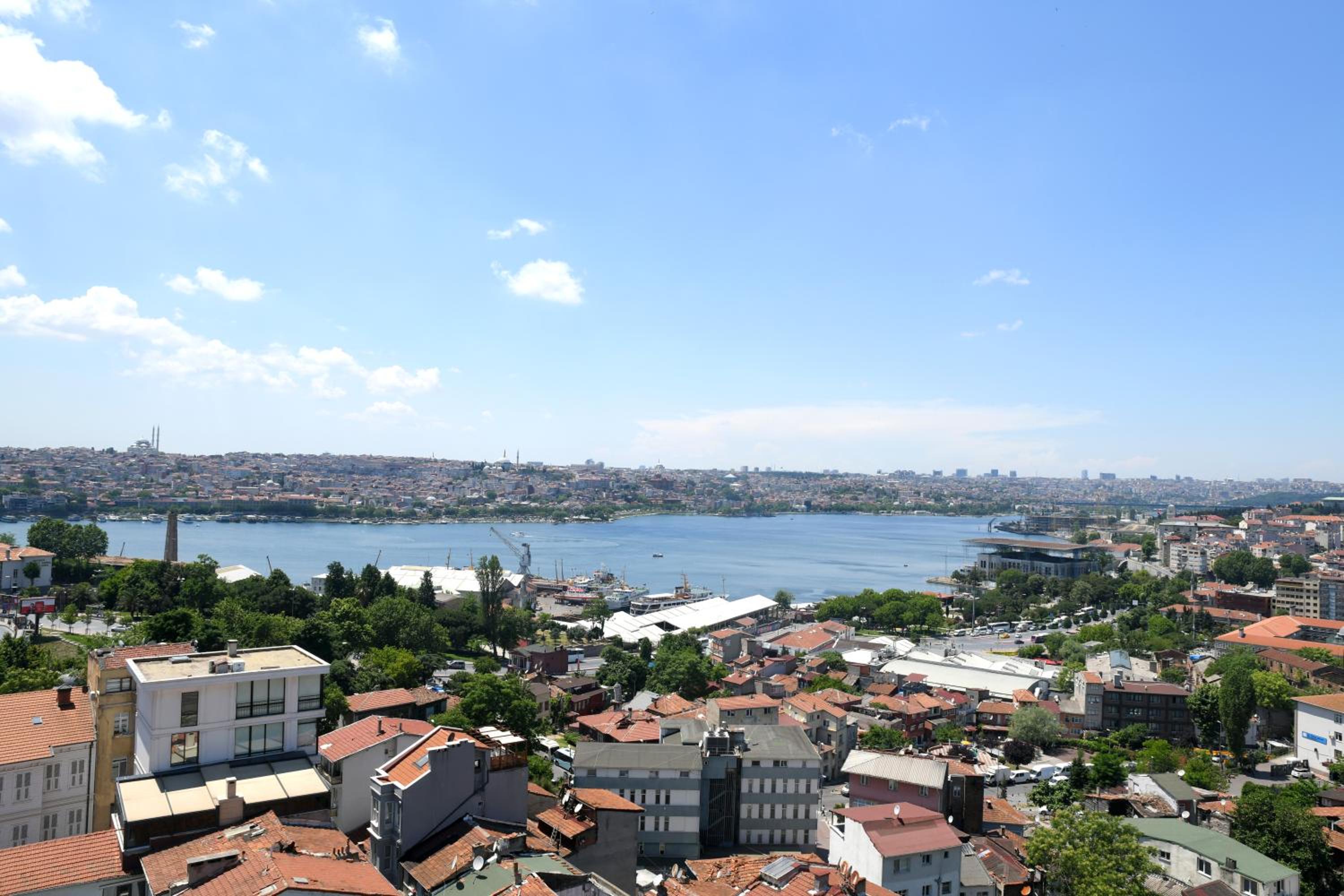 Grand Halic Goldenhorn - Image 32
