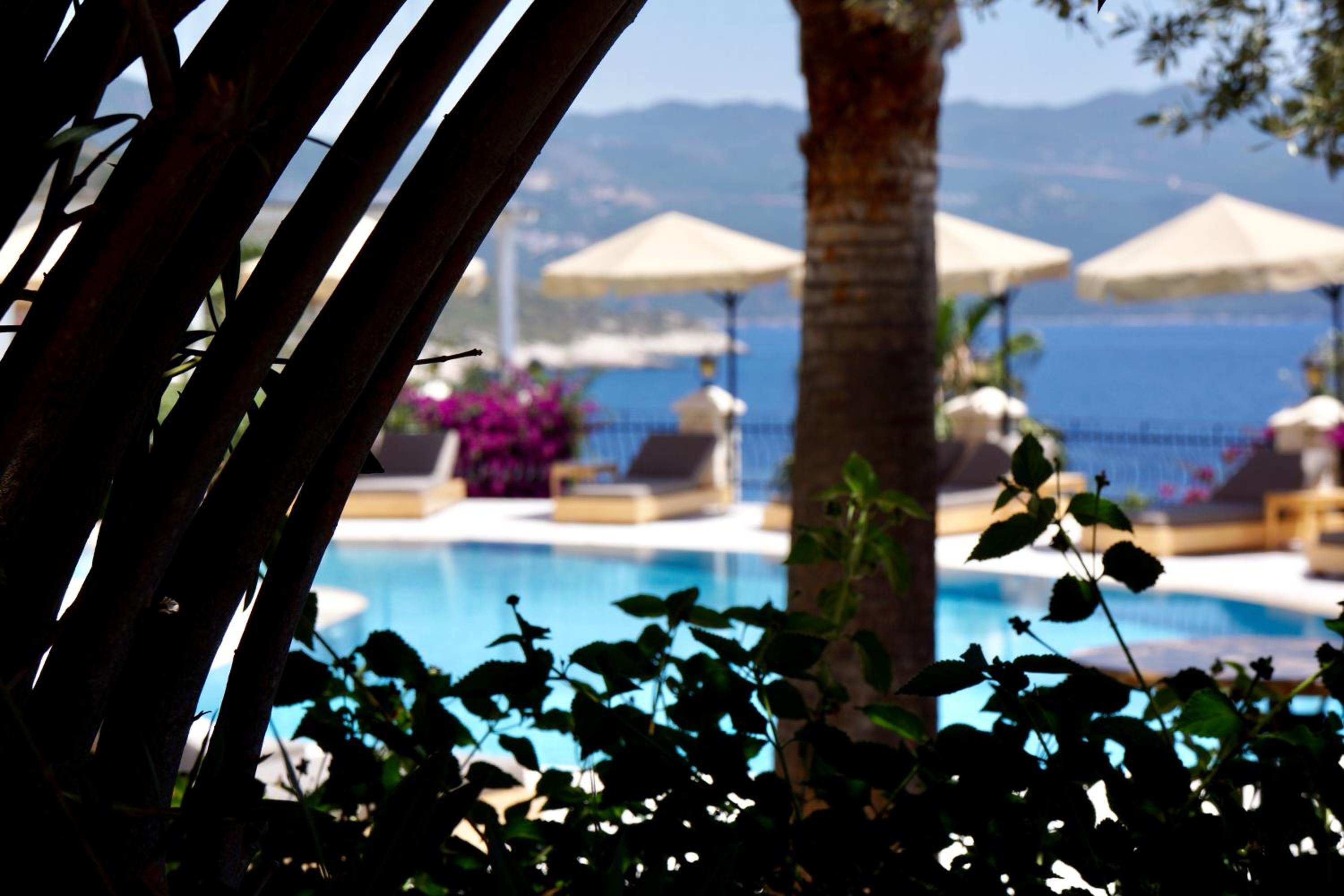 Villa Hotel Tamara - Image 24