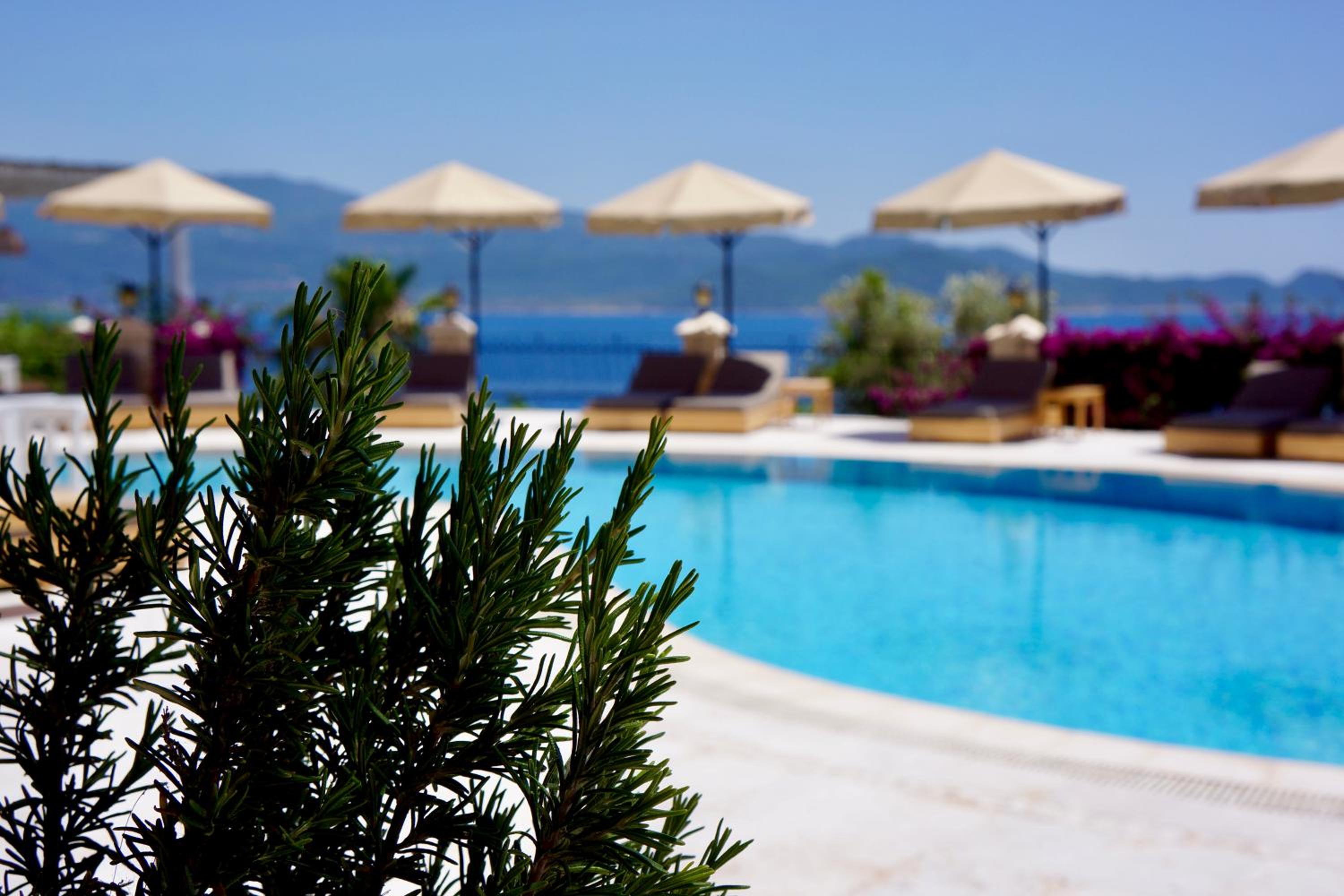 Villa Hotel Tamara - Image 20