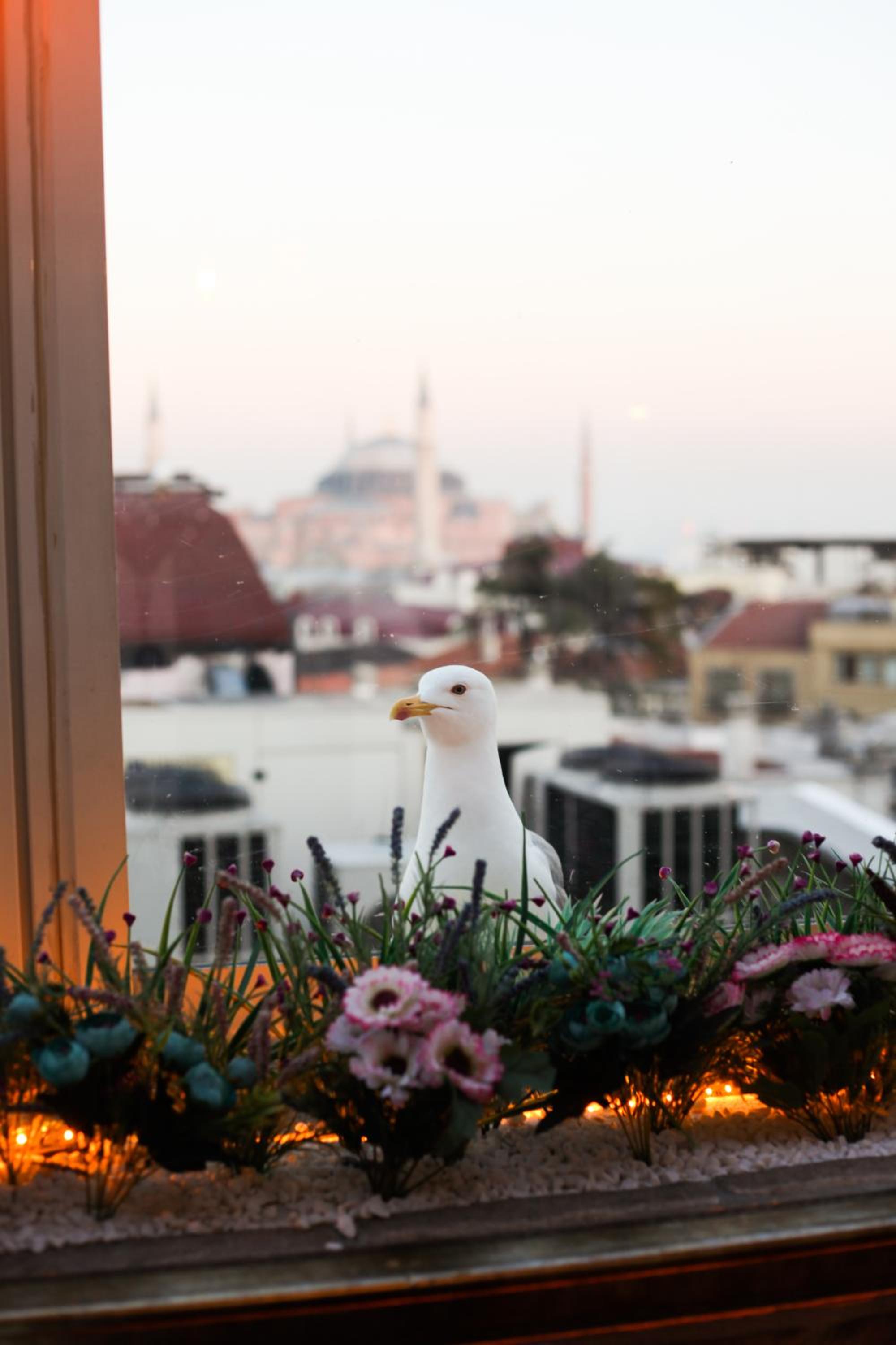 Büyük Şans Oteli & Spa - Image 20