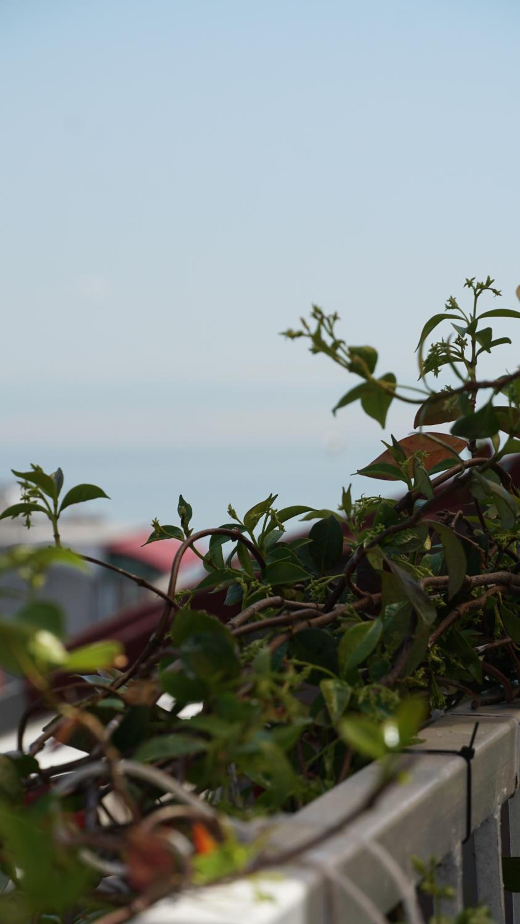 Boutique Sultan Hotel - Image 25