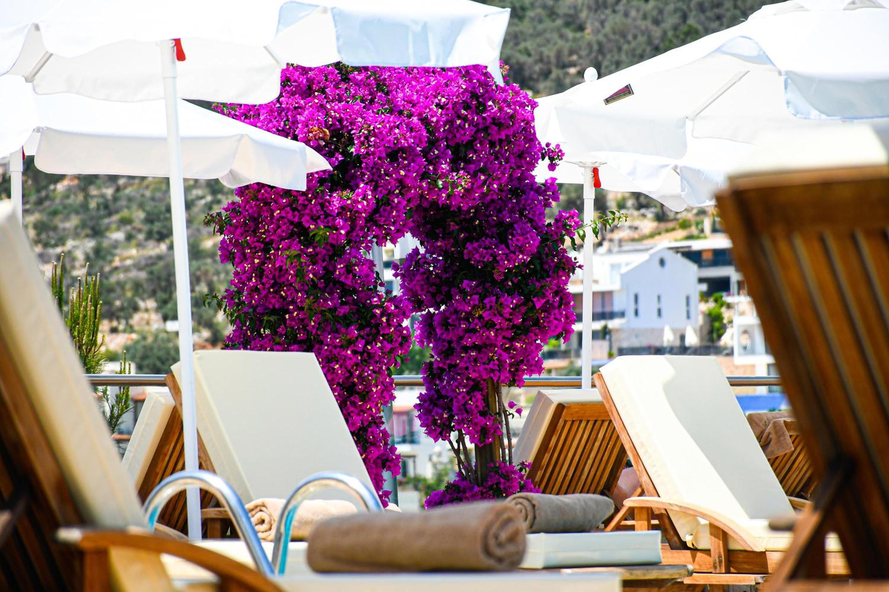 Happy Otel Kalkan - Image 97