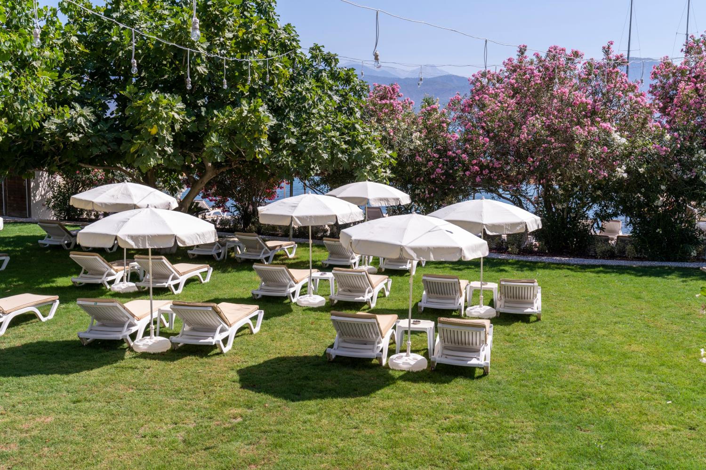 Alesta Yacht Otel - Image 55