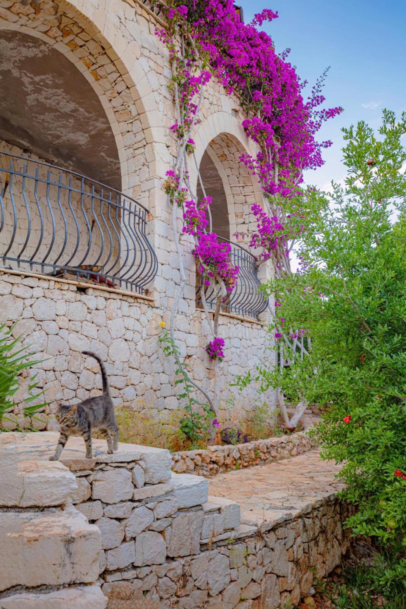 Villa Hotel Tamara - Image 16