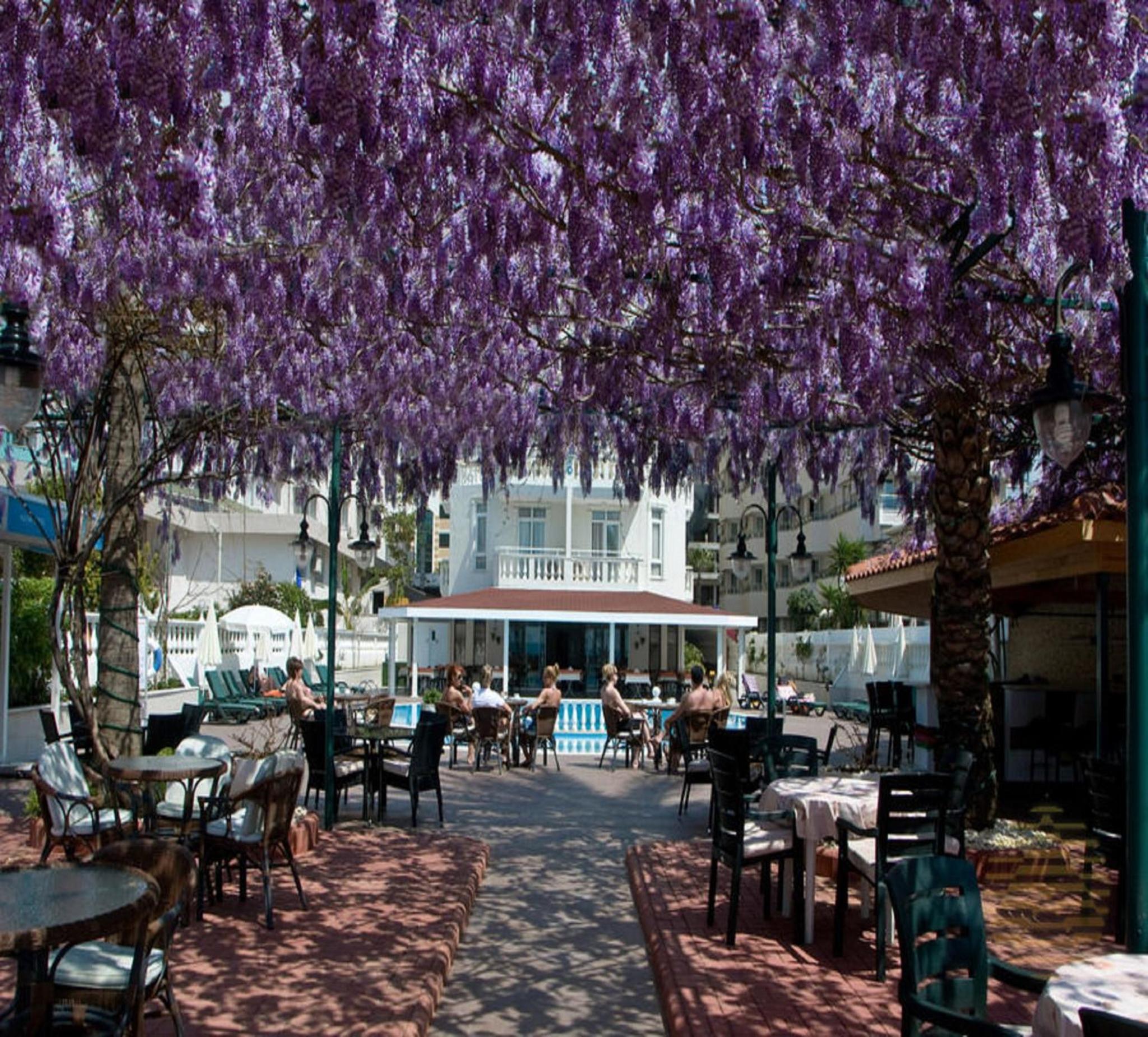 Azak Hotel - Image 37