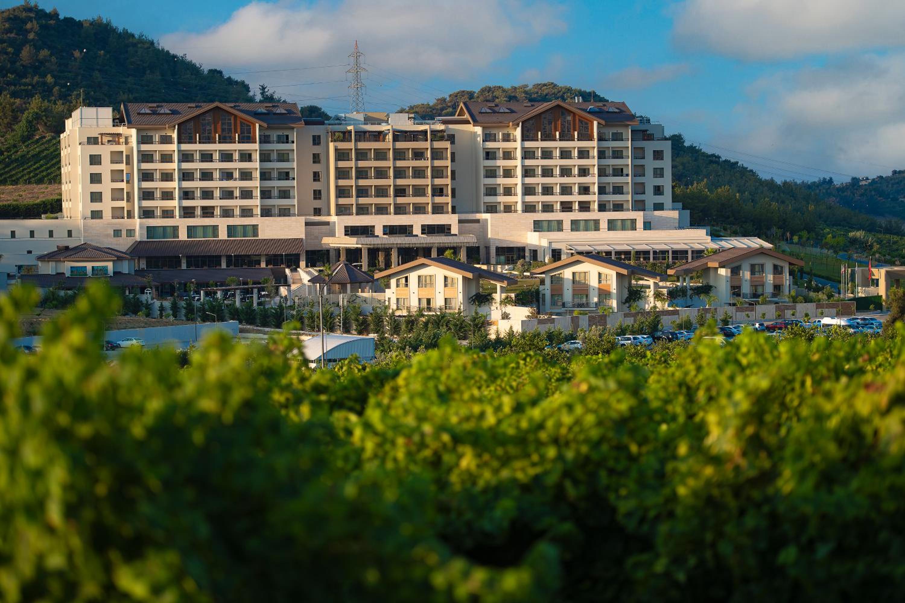 BN Hotel Thermal & Wellness - Image 14