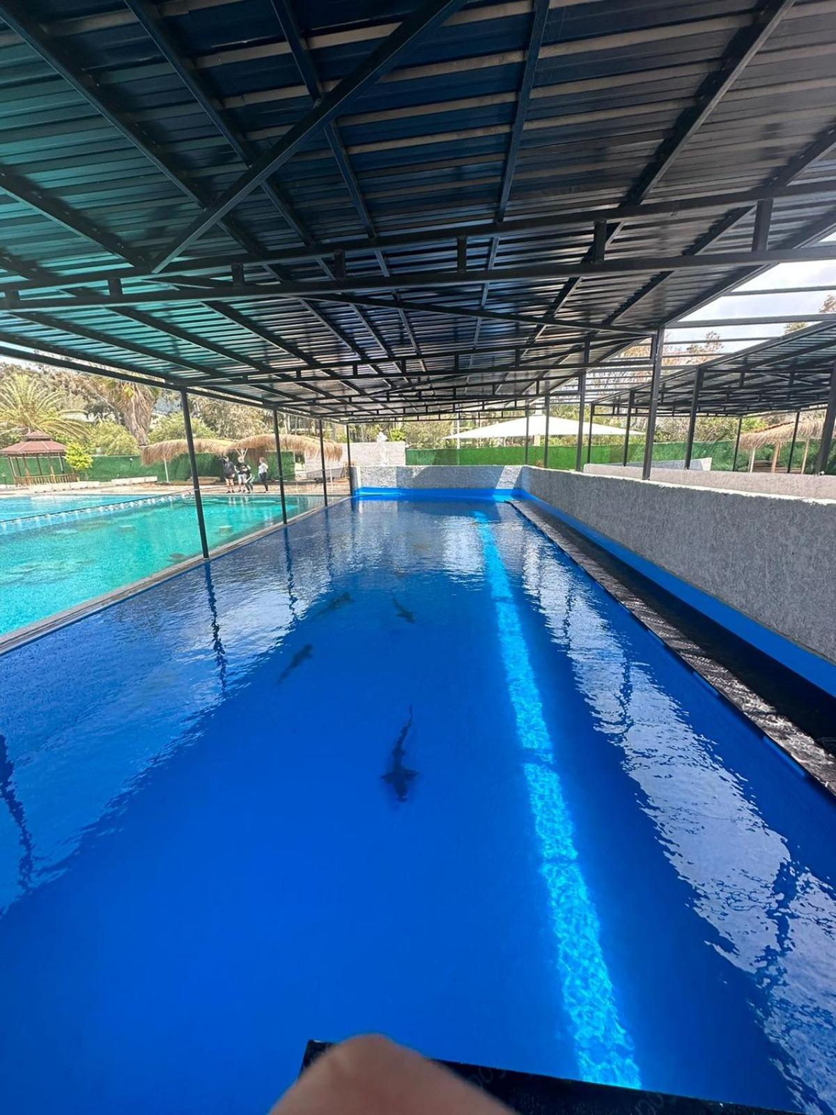 Miarosa Kemer Beach - Image 113
