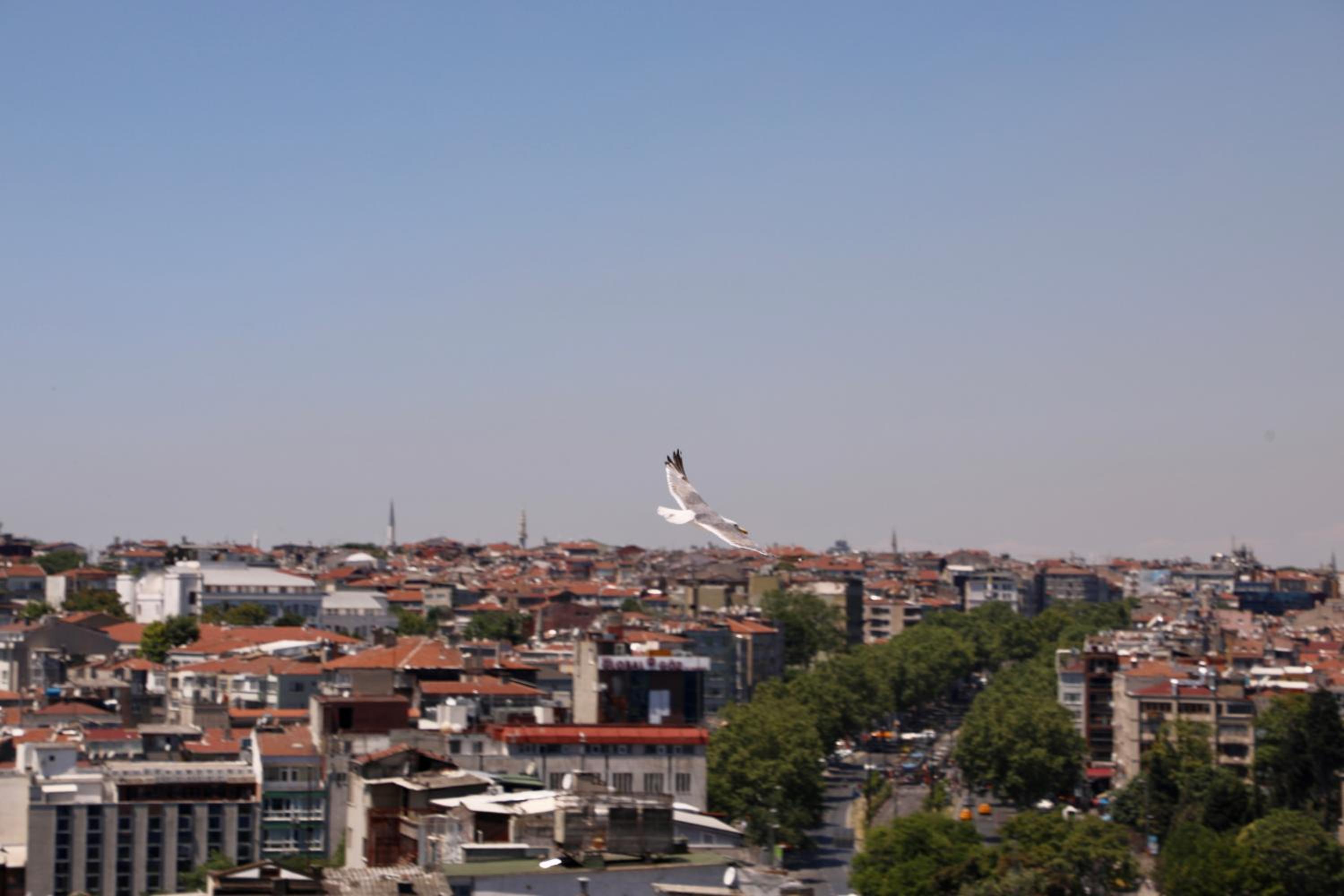 Istanbul Royal Hotel - Image 217