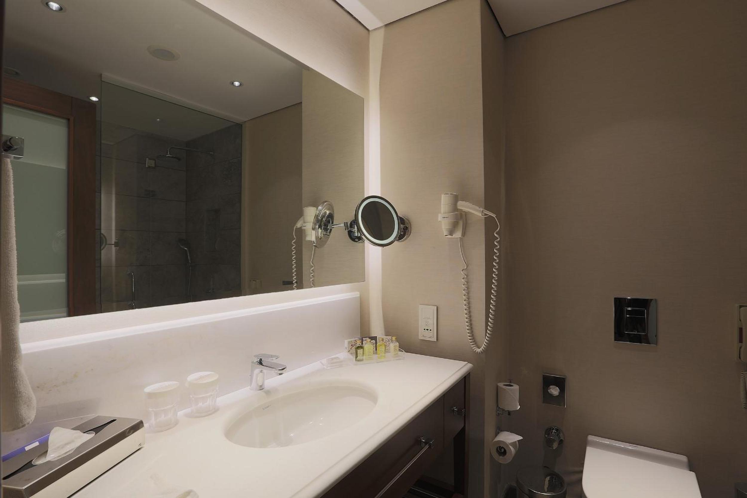 Crowne Plaza İstanbul Oryapark, bir IHG Oteli - Image 71