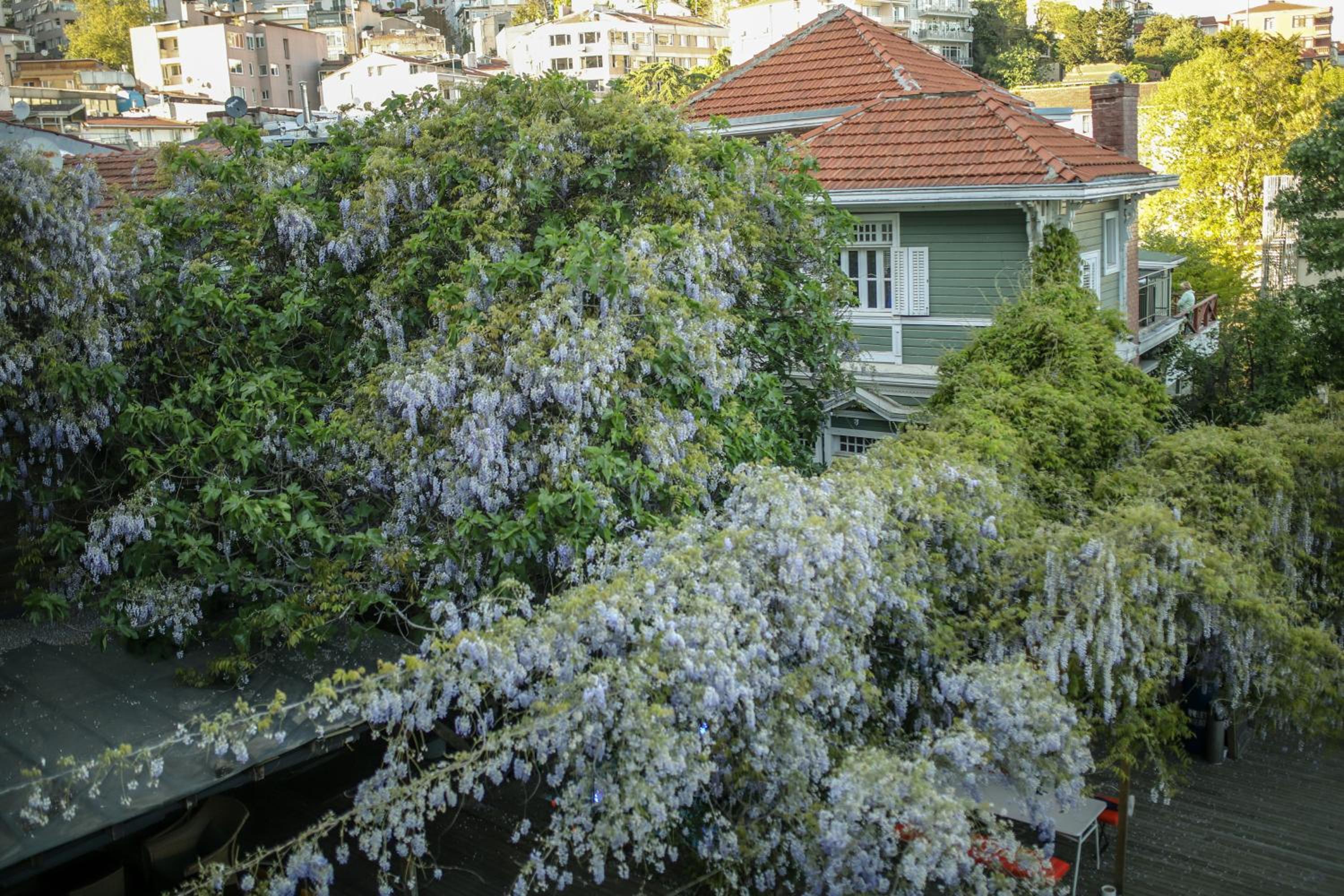 Loop Otel Bosphorus İstanbul - Image 219