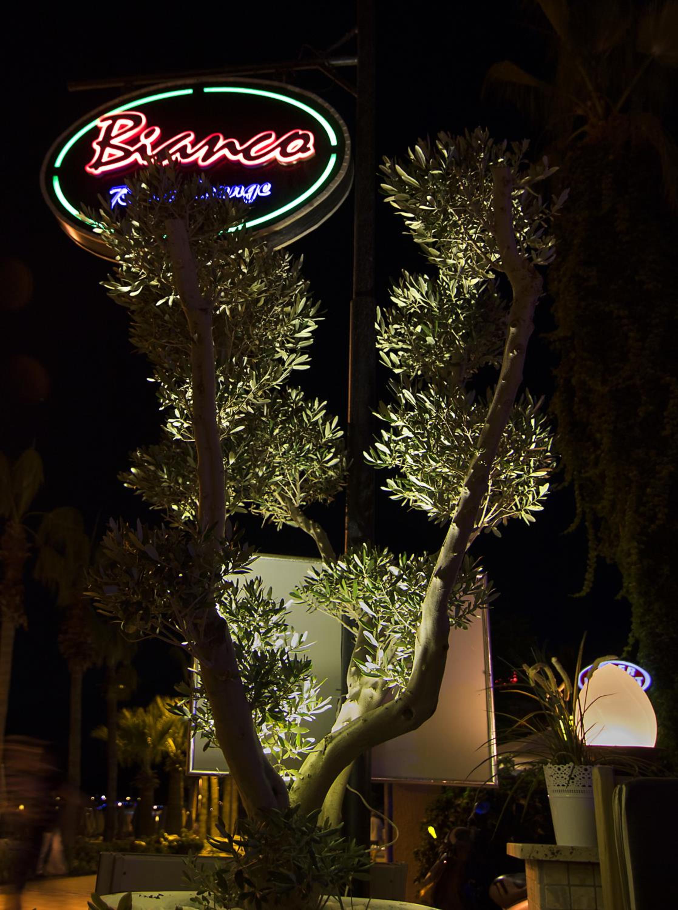 Romance Beach Hotel - Image 62