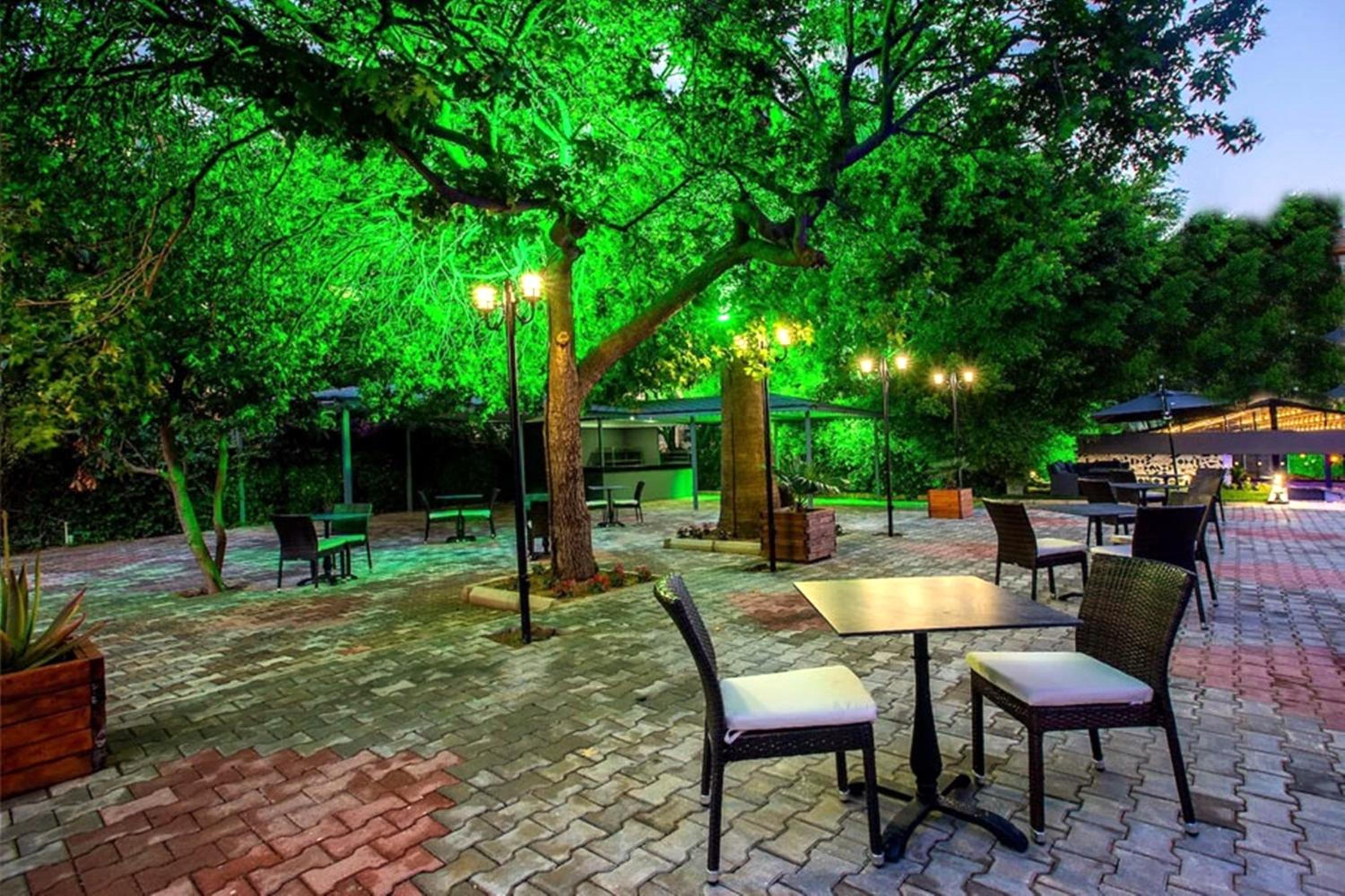 Grand Alisa Otel (Eski: Royalisa Hotel) - Image 21