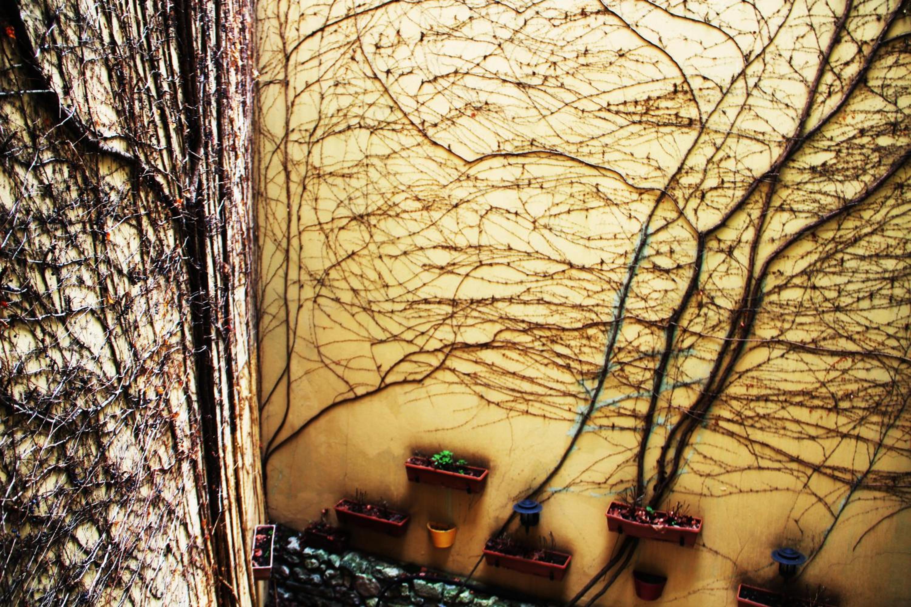 Hotel Erguvan - Special Category - Image 113