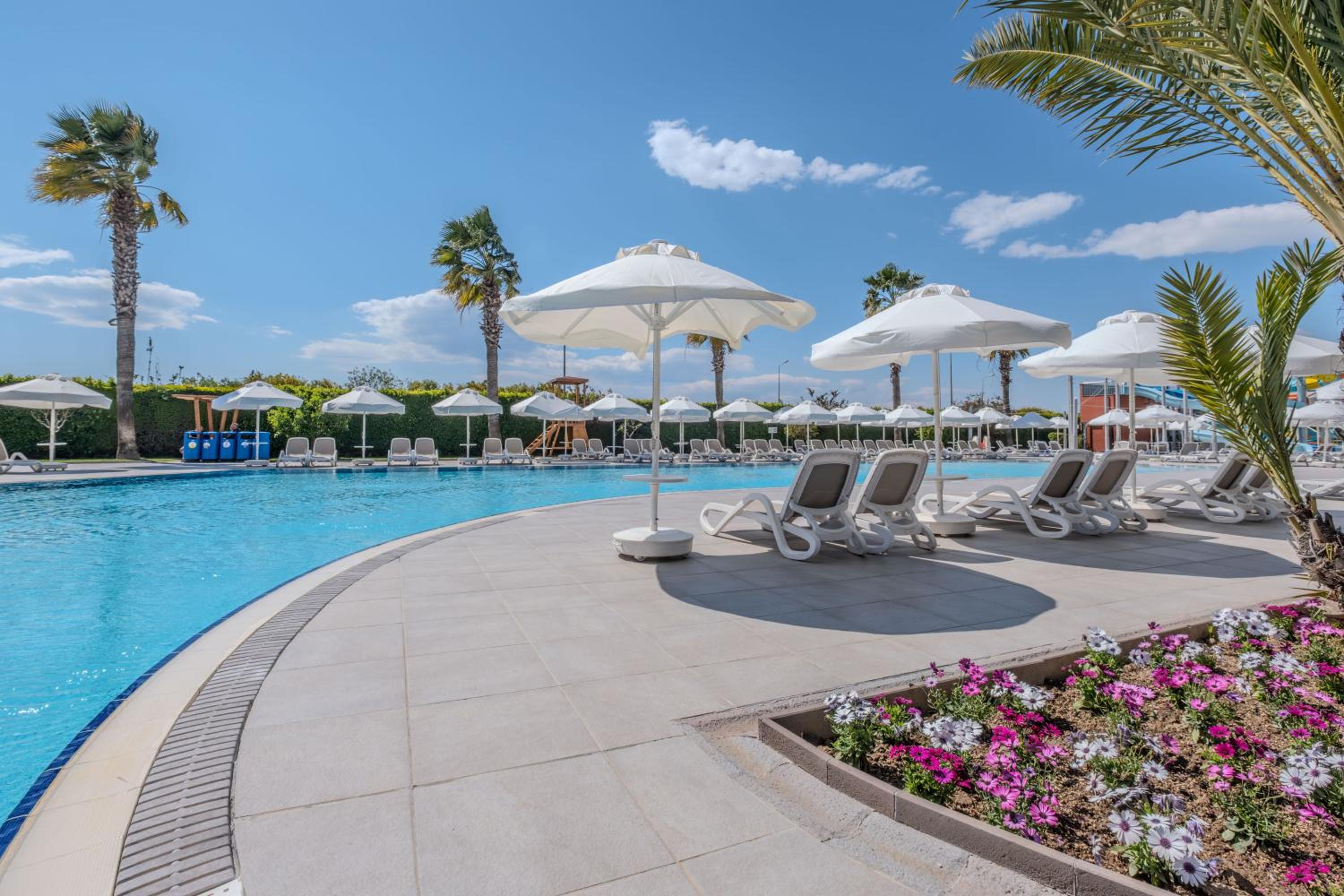 Barut GOIA - Image 18