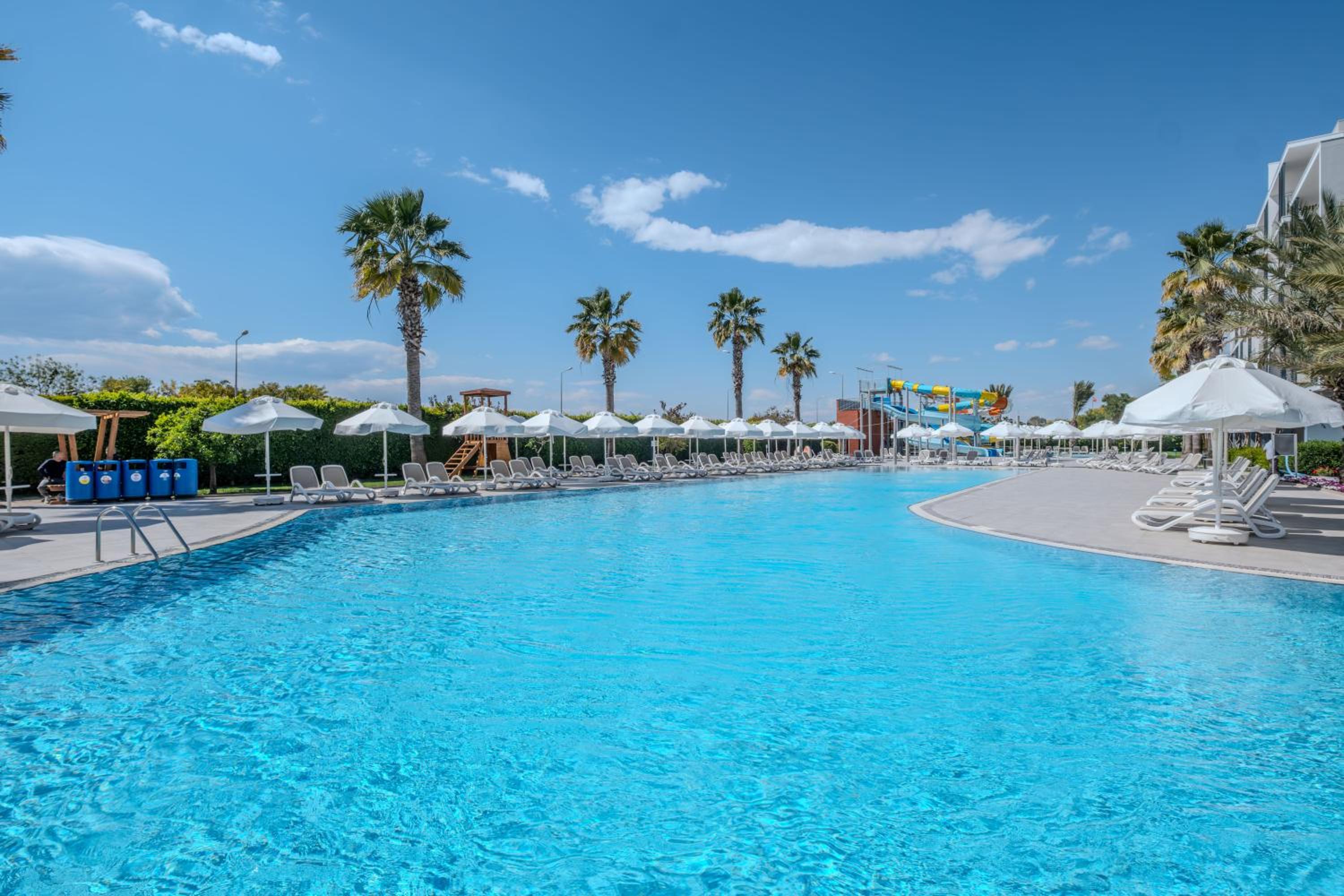 Barut GOIA - Image 19