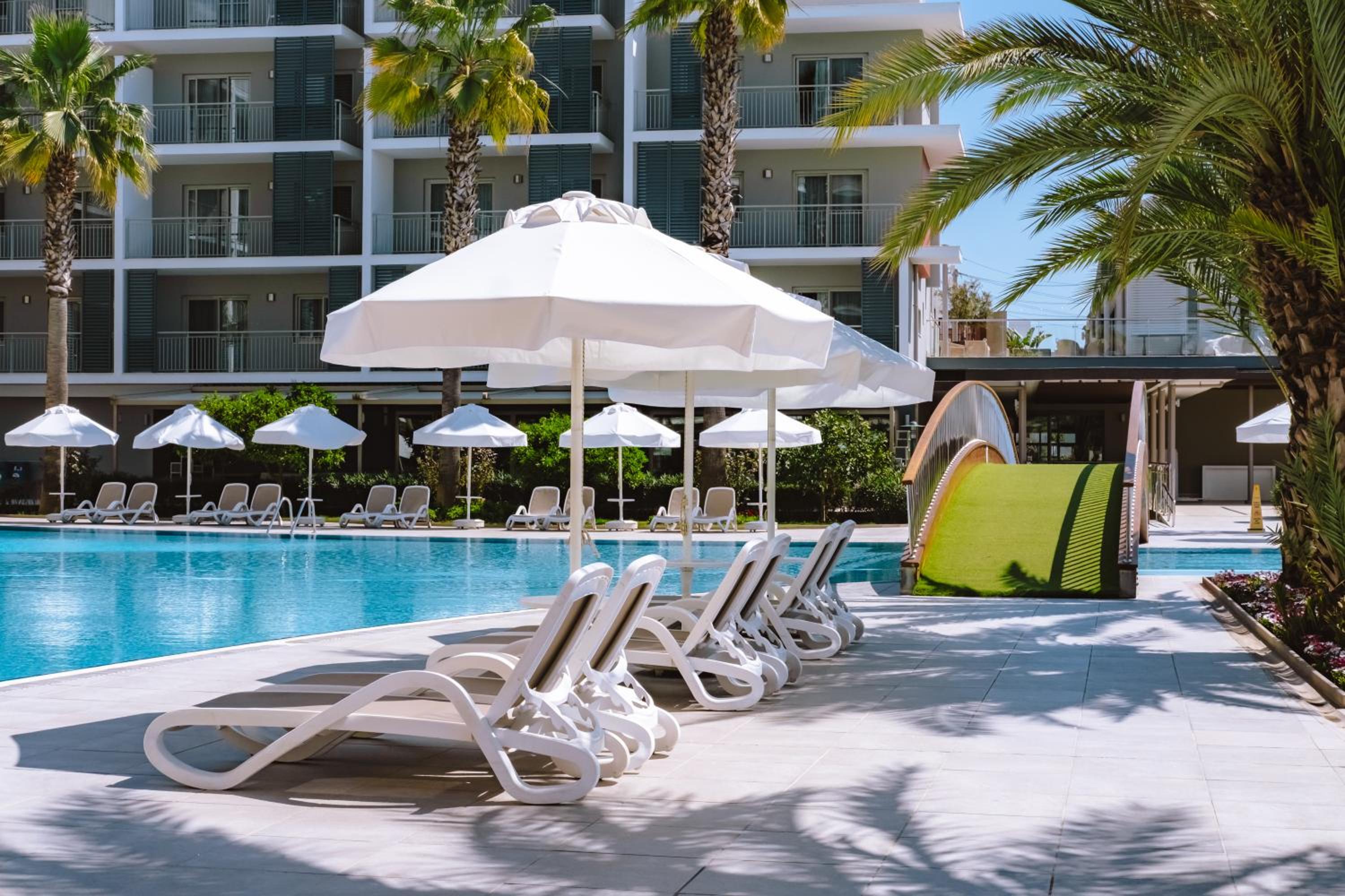 Barut GOIA - Image 23