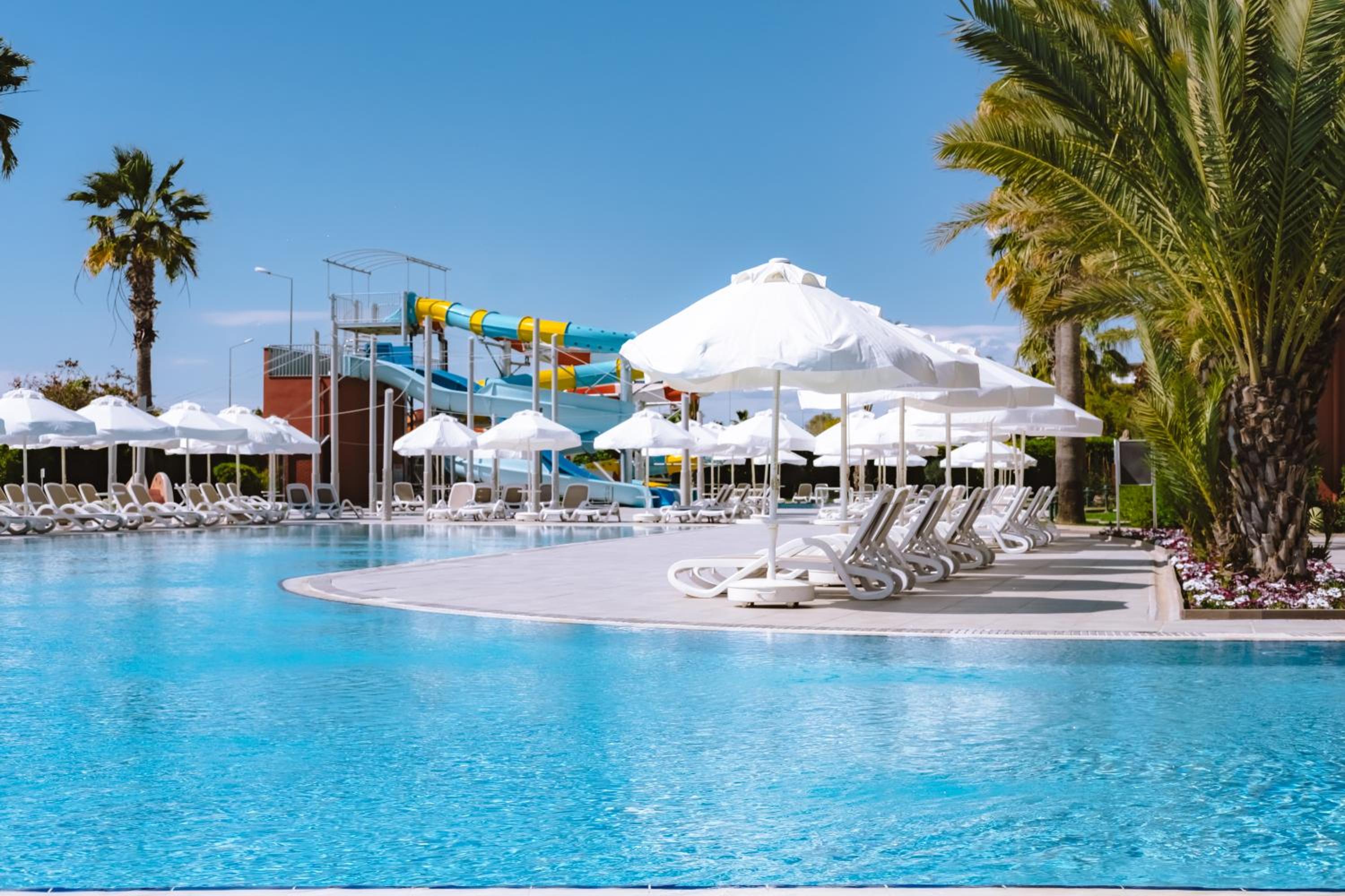 Barut GOIA - Image 22