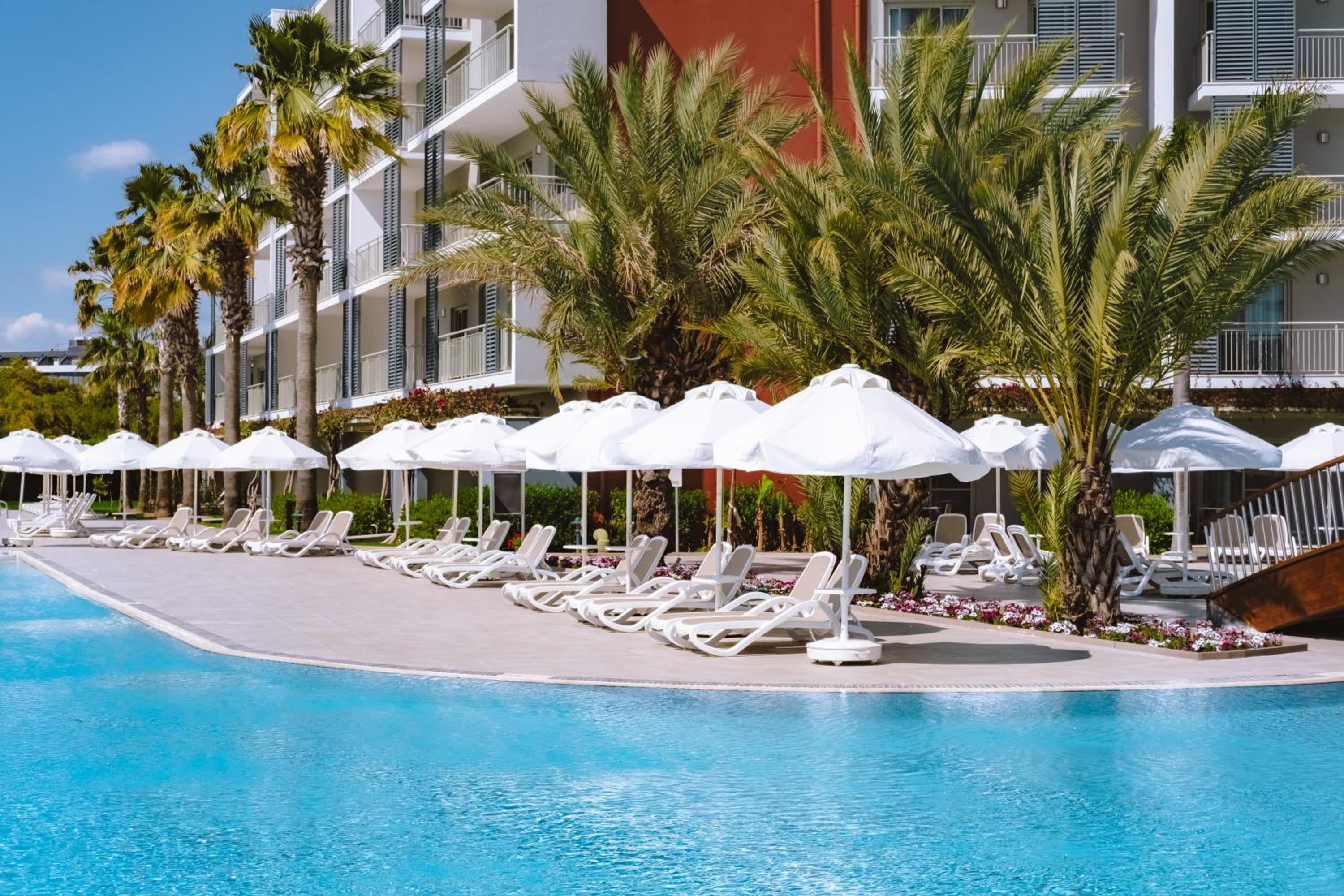 Barut GOIA - Image 54
