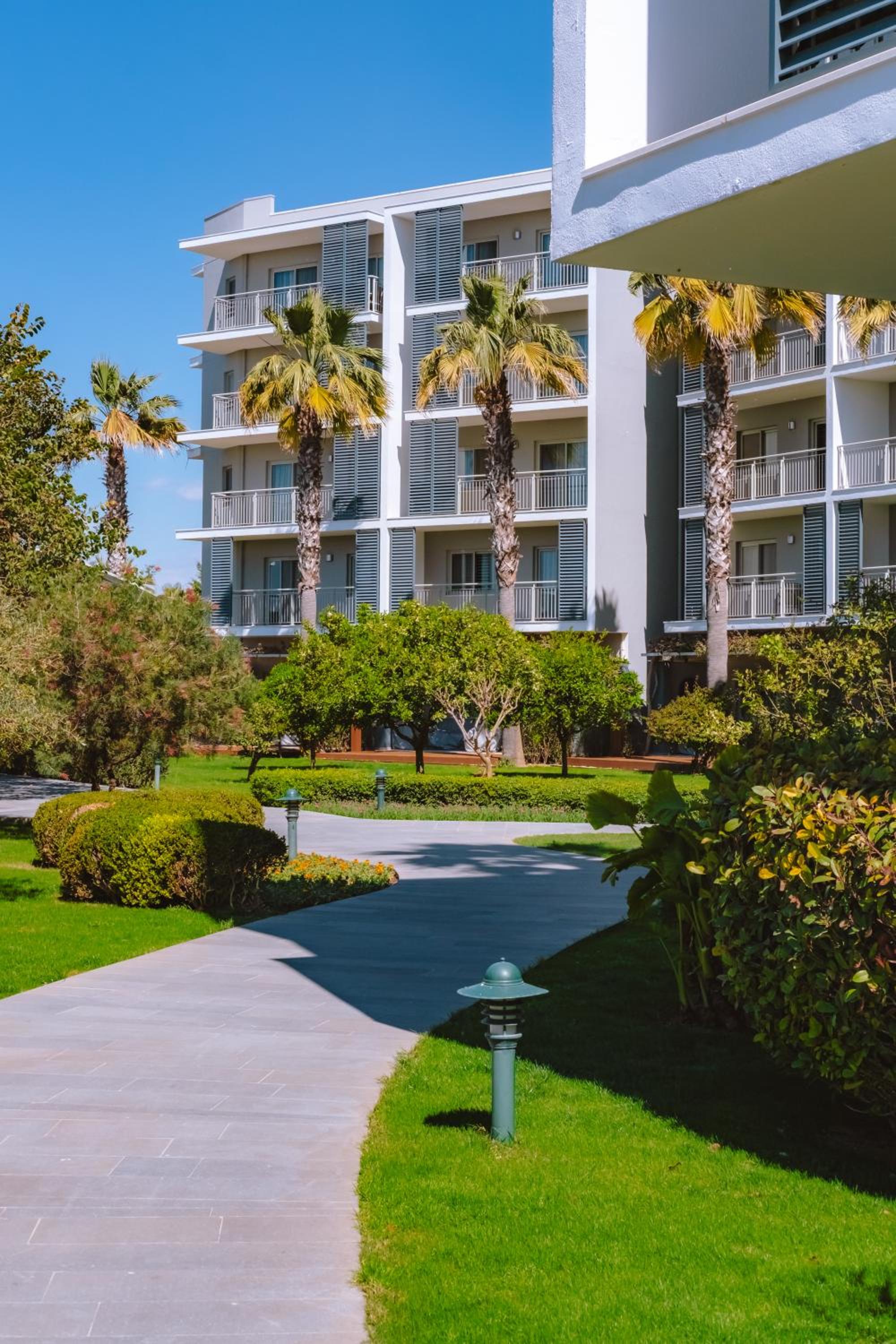 Barut GOIA - Image 53