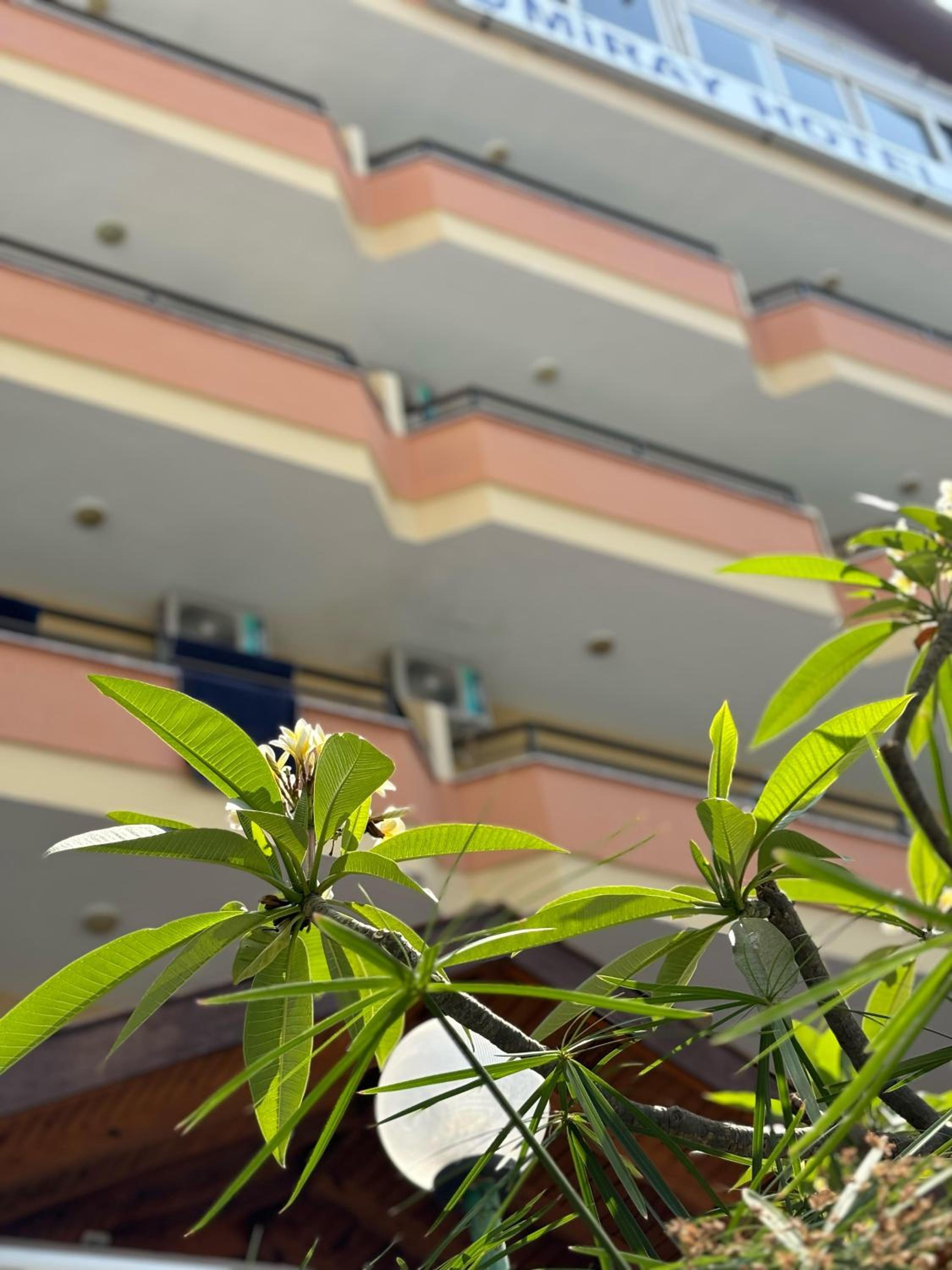 Miray Hotel Kleopatra - Image 17