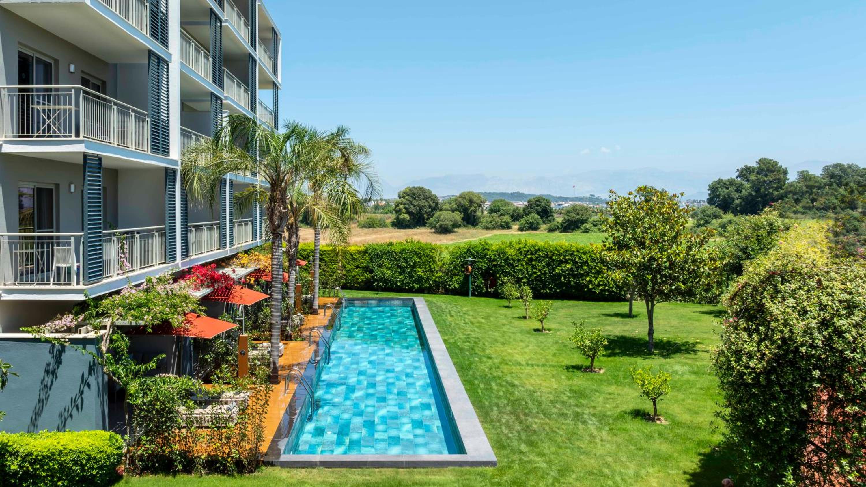 Barut GOIA - Image 13