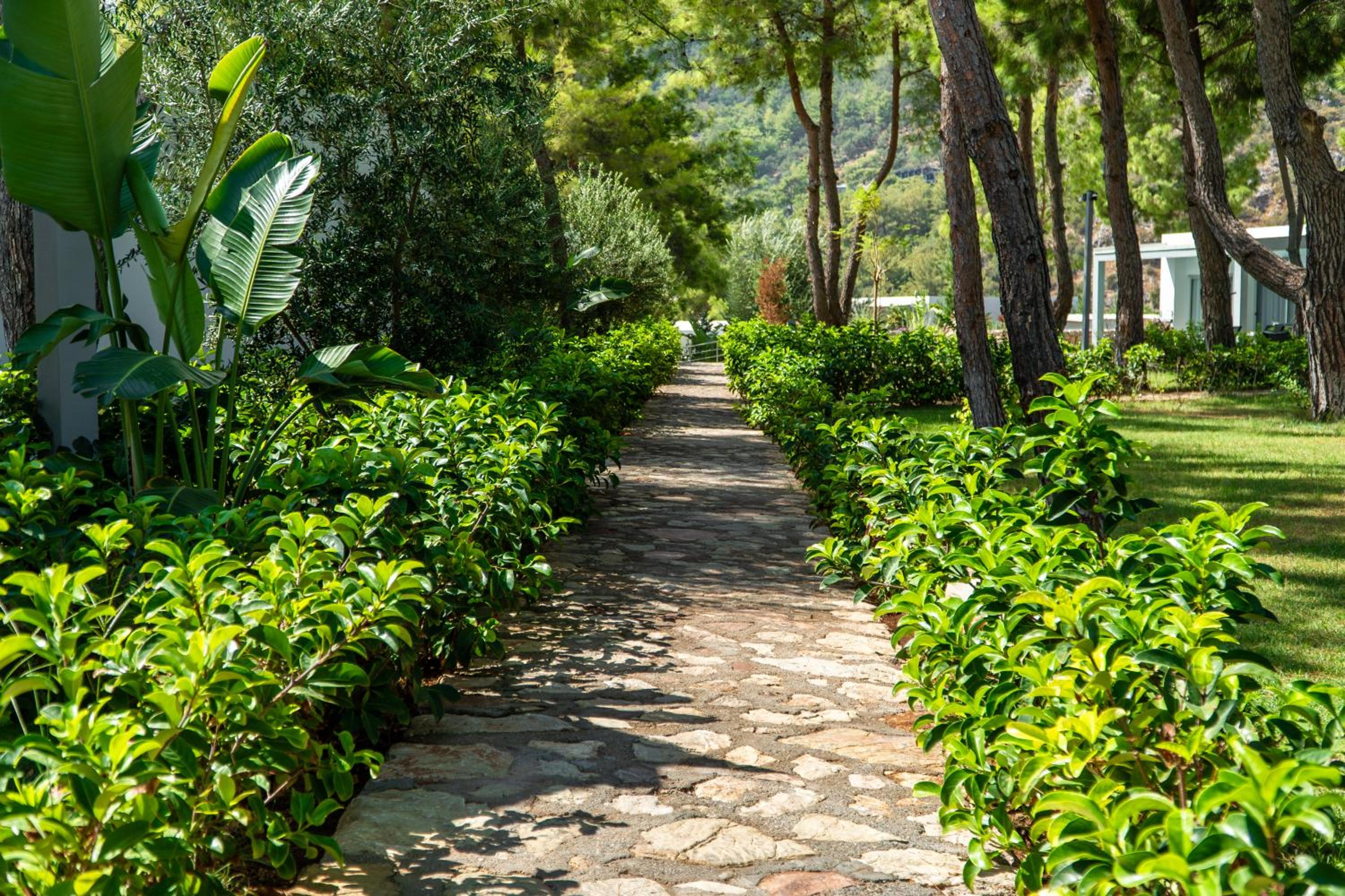 Z-Villas Beach Hotel - Image 12