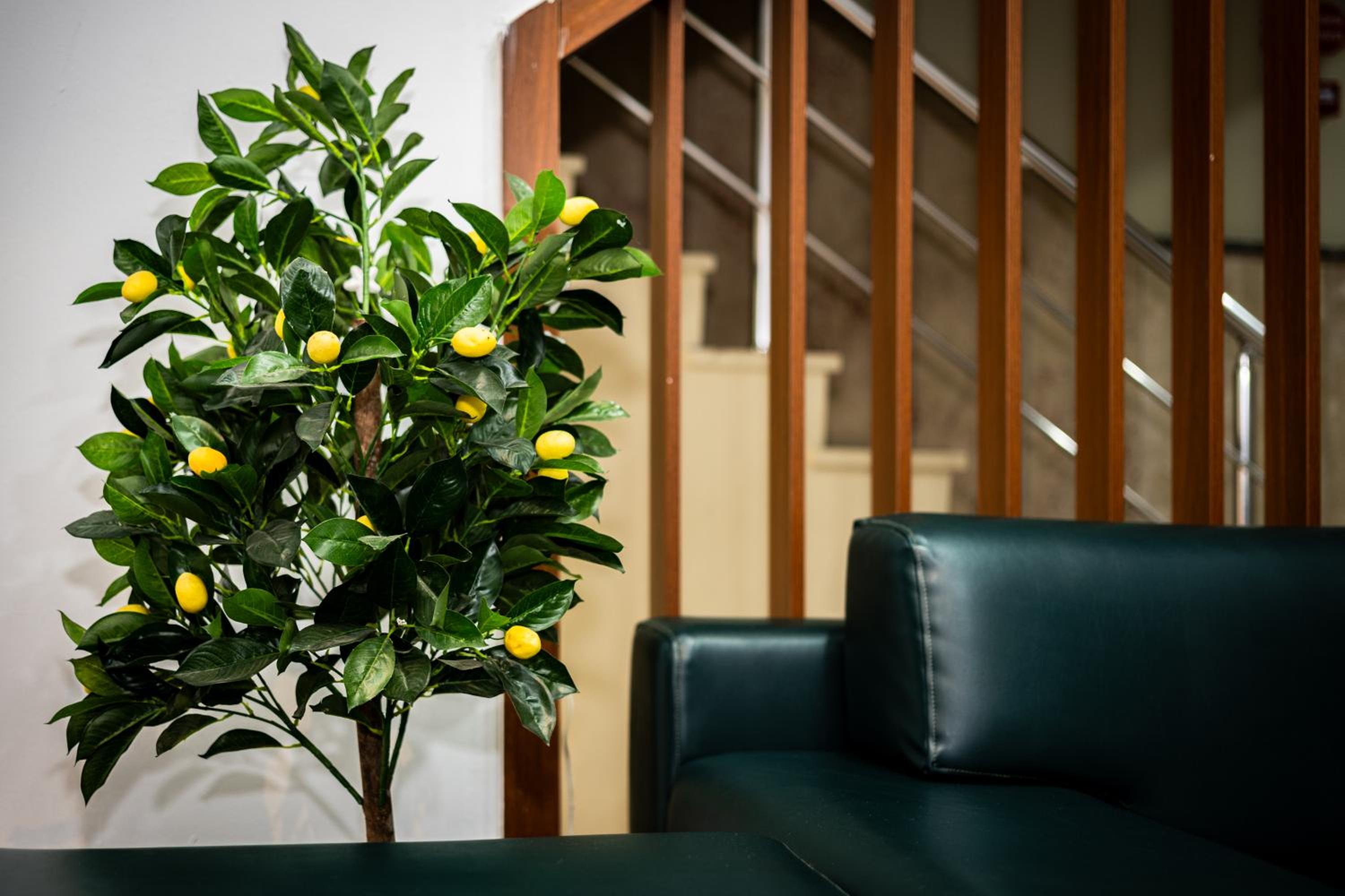SENYOR GARDEN HOTEL - Image 139