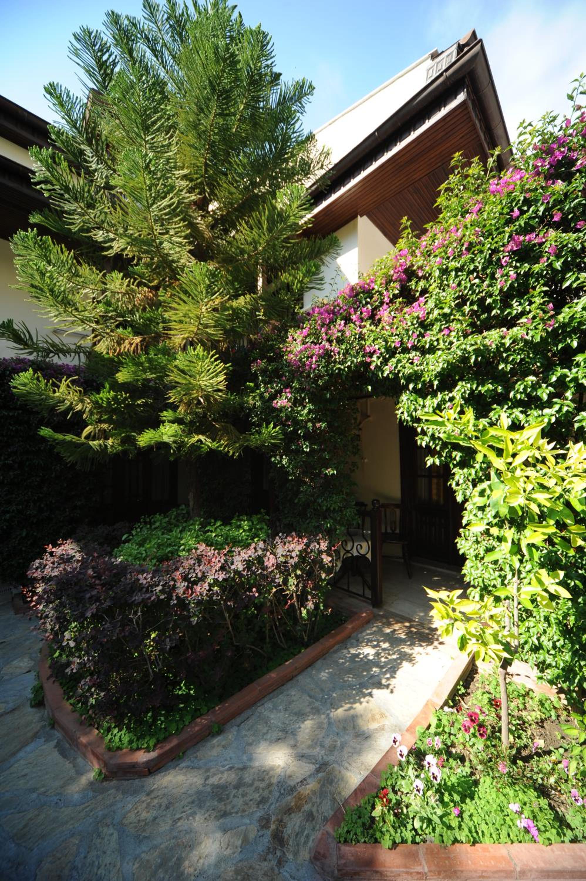 Hotel Villa Daffodil - Image 85
