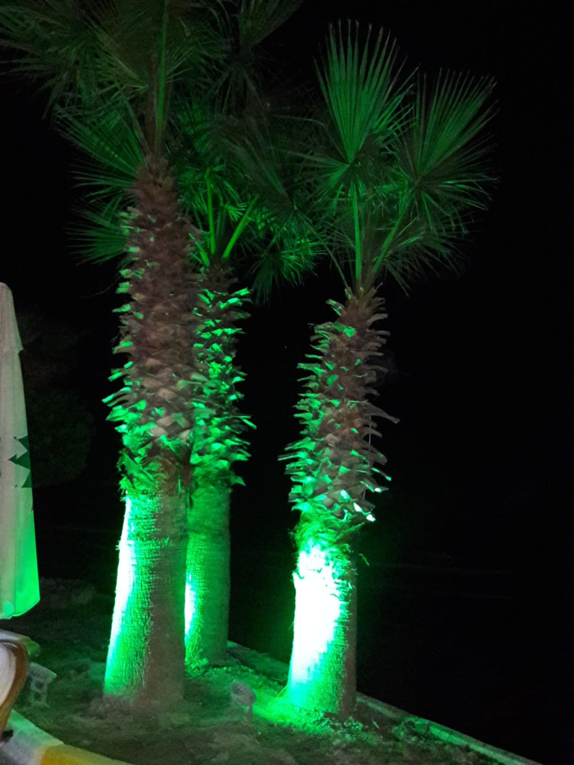 Hotel Sunday Beach - Image 21
