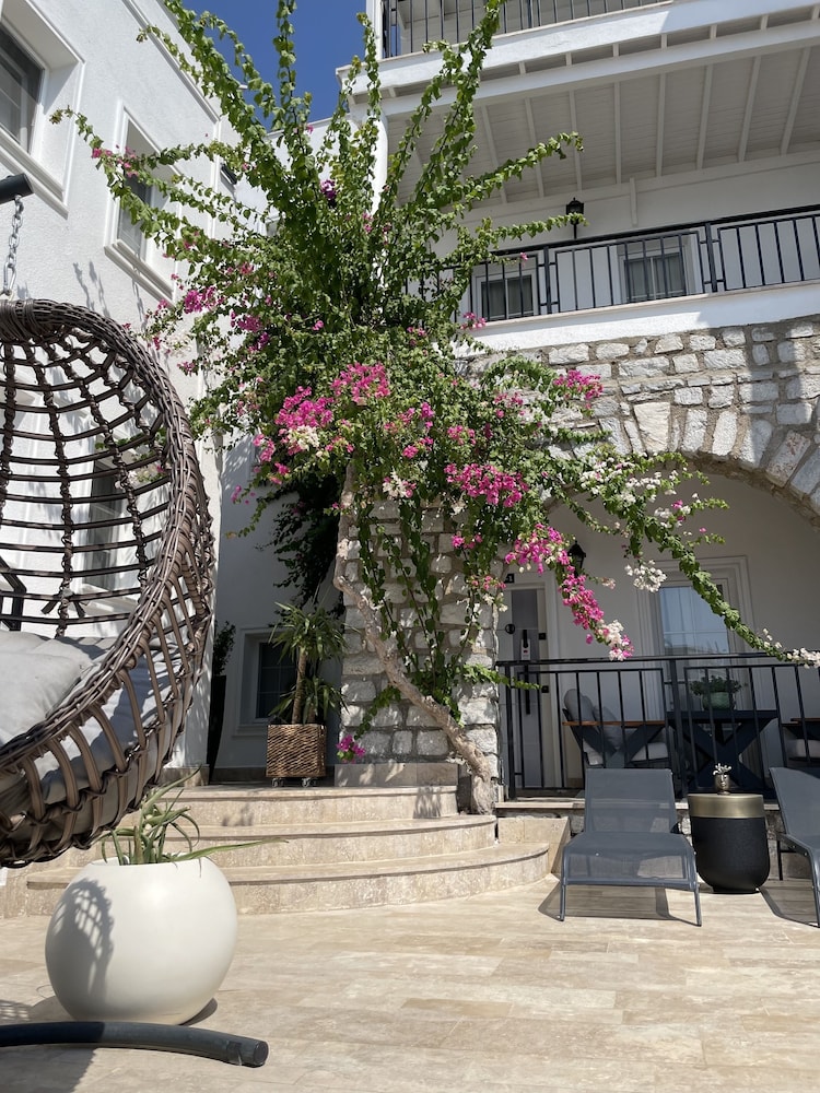 Noa Suite Otel - Yetişkinlere Özel - Image 55