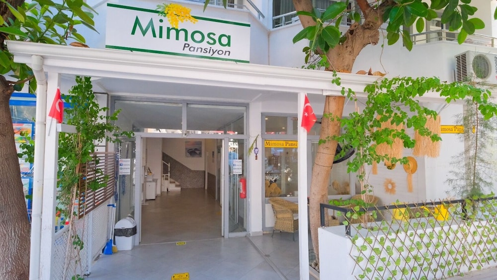 Mimosa Pension - Image 36