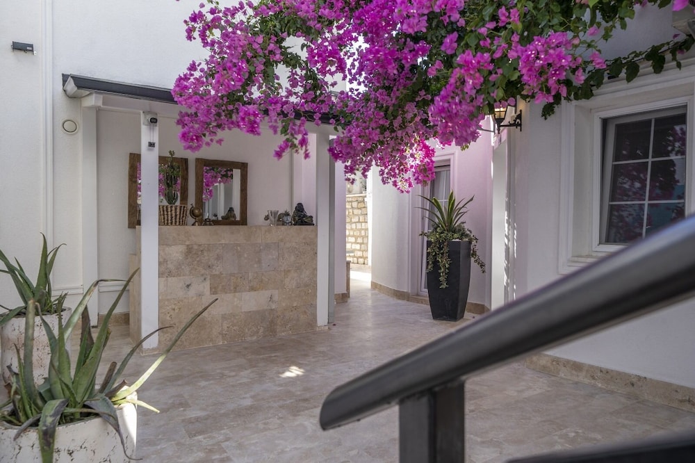 Noa Suite Otel - Yetişkinlere Özel - Image 40