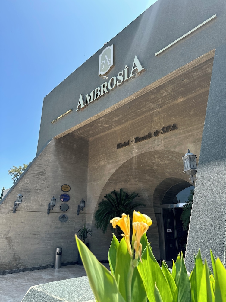 Ambrosia Oteli - Image 22