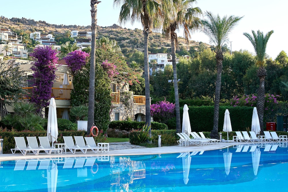 Divan Bodrum - Özel Sınıf - Image 37