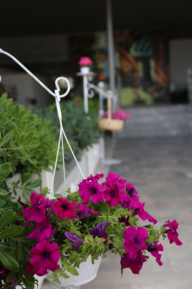 B&B Yüzbaşı Beach Otel - Image 39