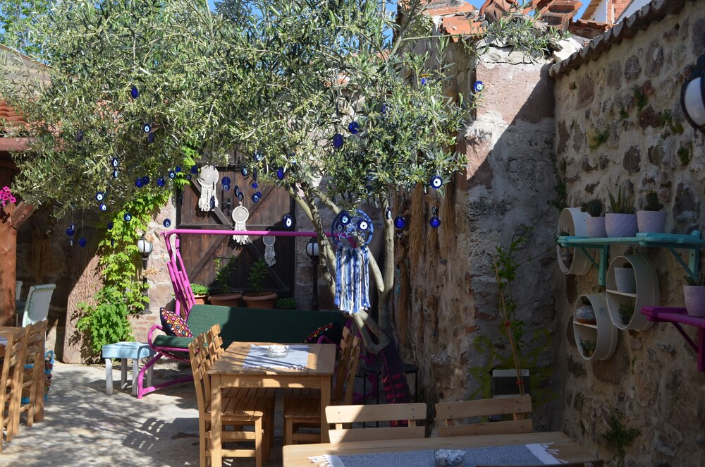 Nezisin Konağı - Image 25